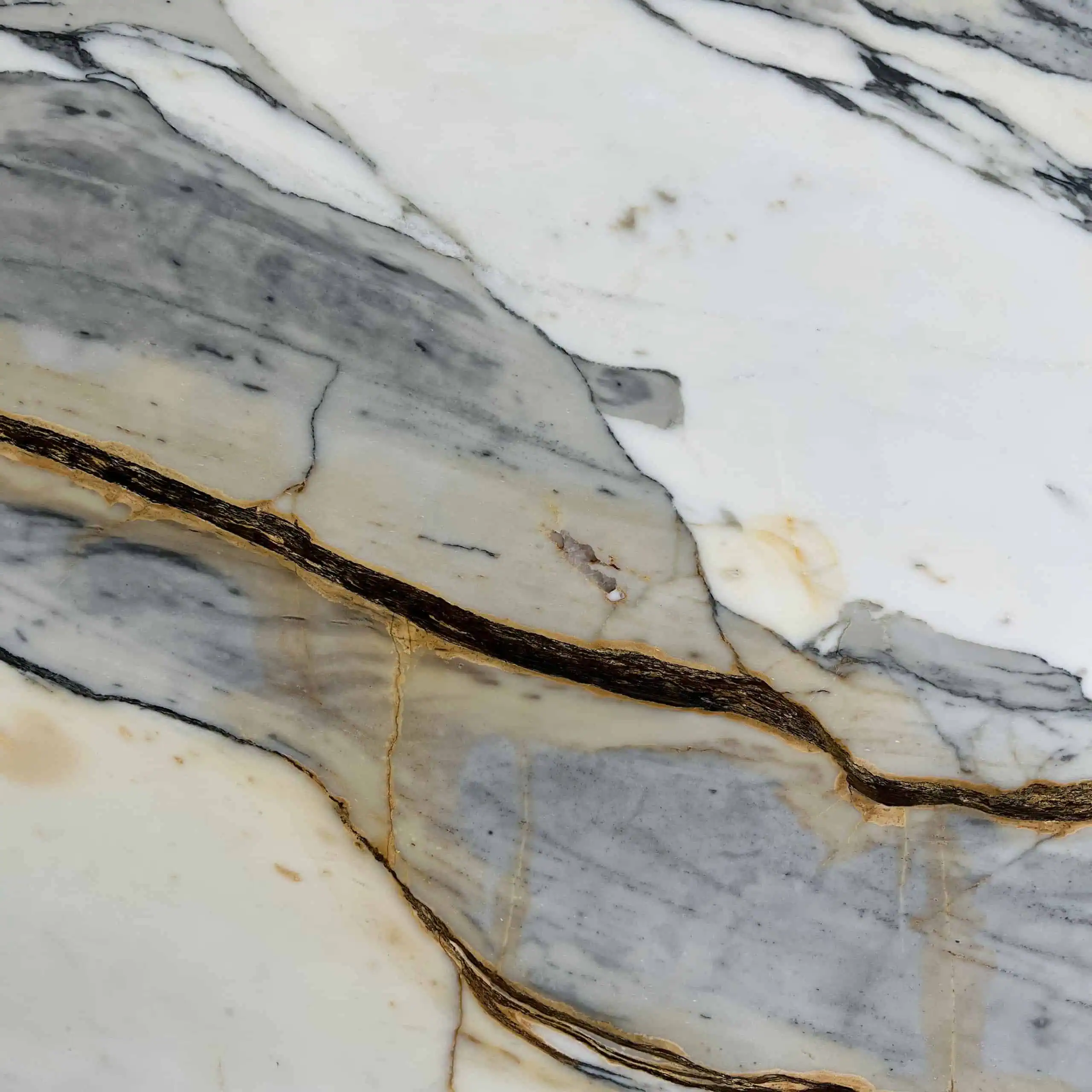 Calacatta Picasso Marble Swatch
