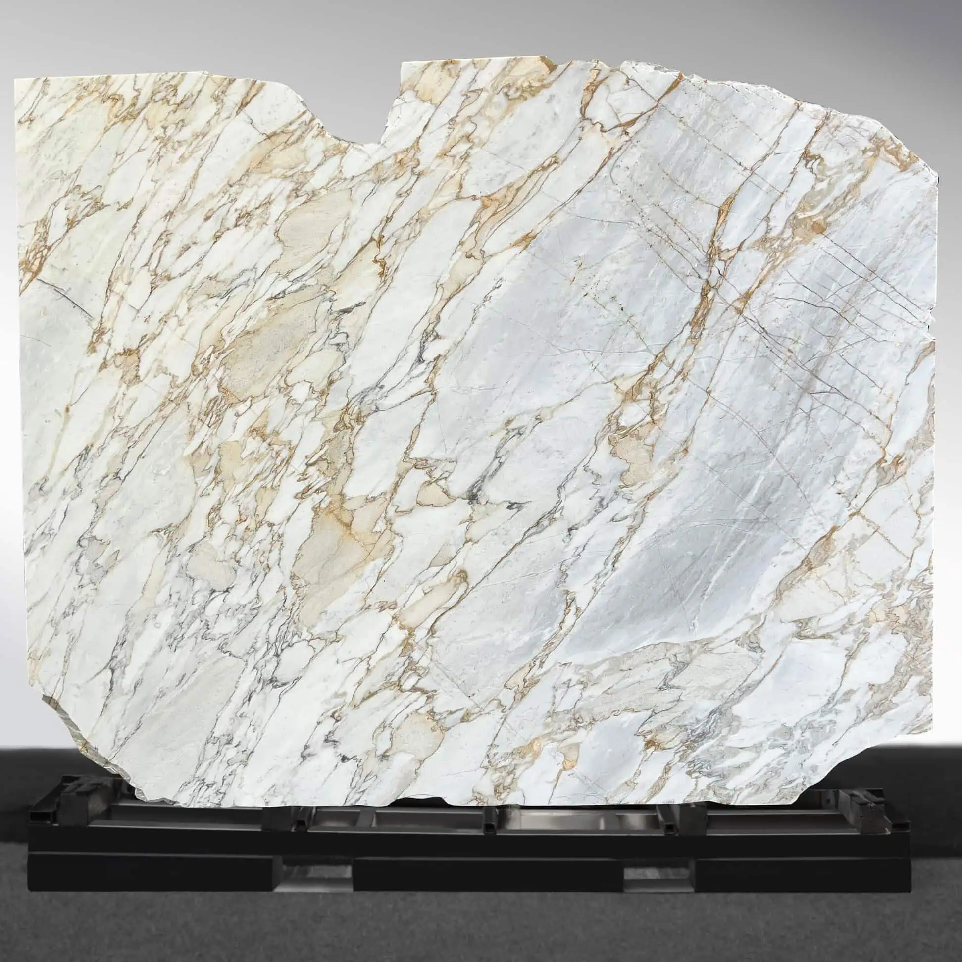Calacatta Pietra Santa Marble Slab