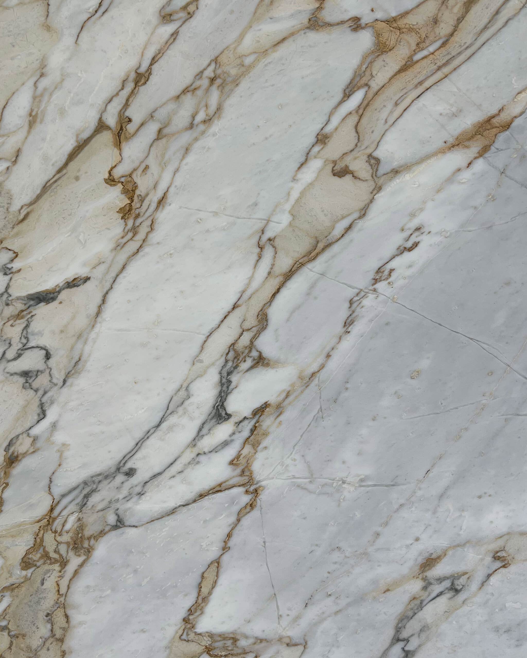 Calacatta Pietra Santa Marble Swatch