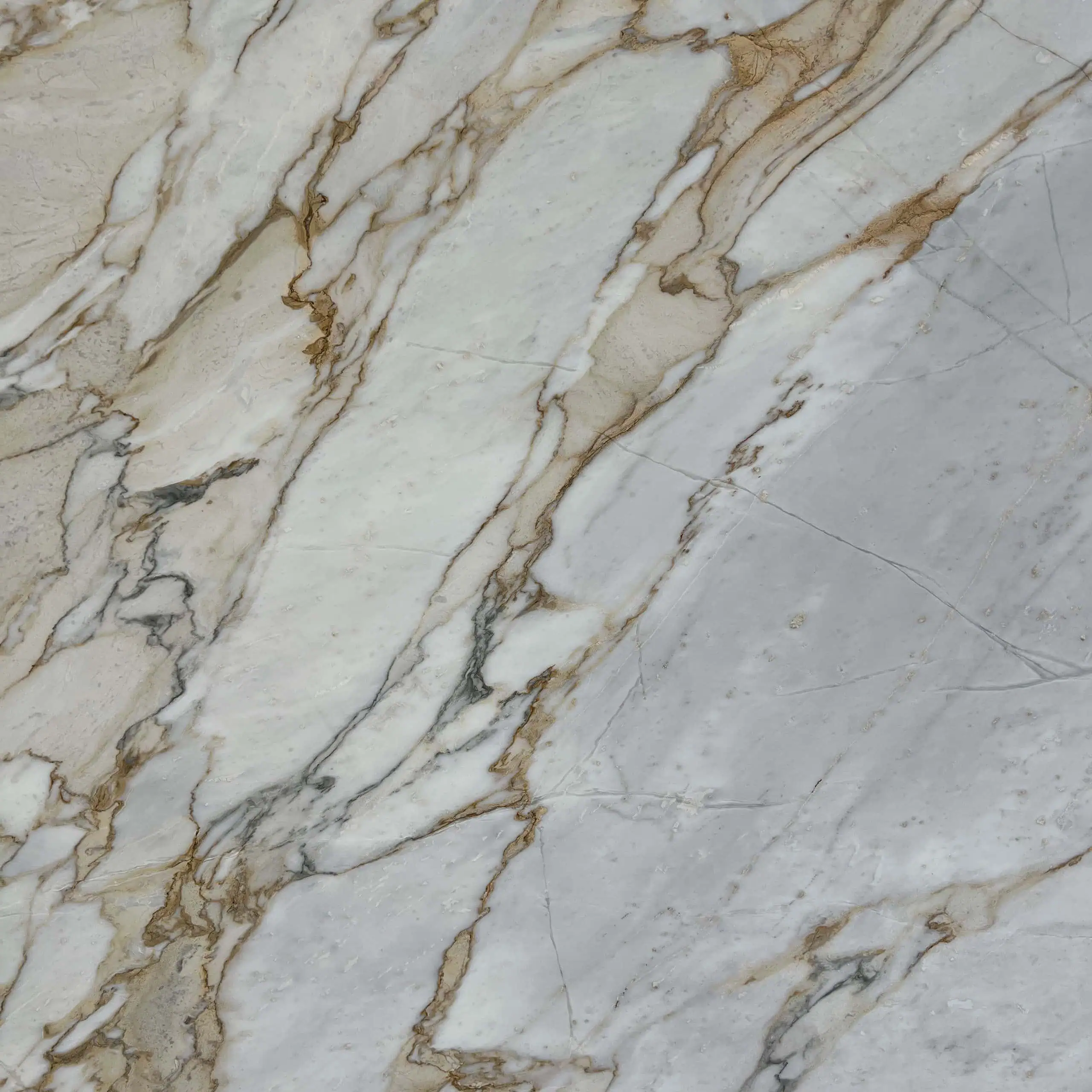 Calacatta Pietra Santa Marble Swatch