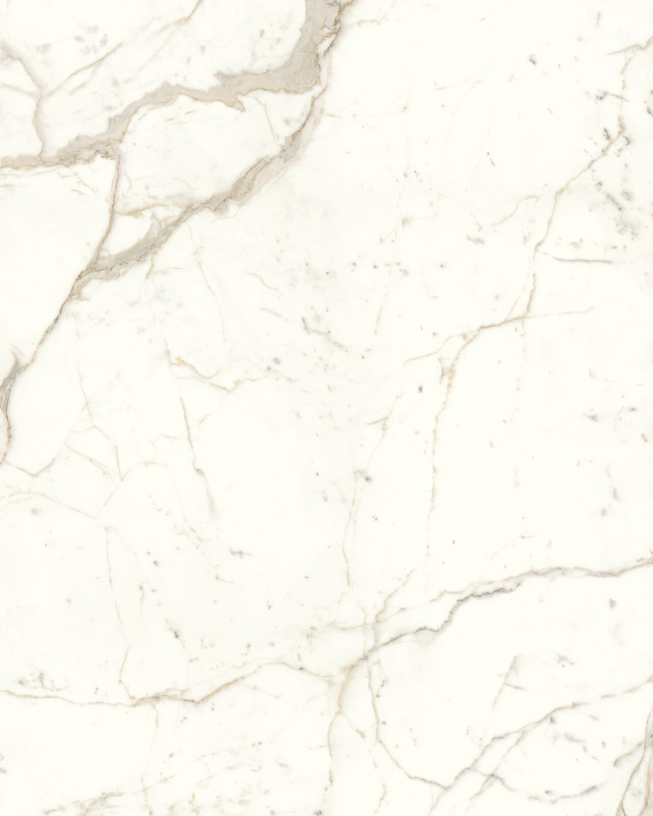 Calacatta Prestige Porcelain Swatch