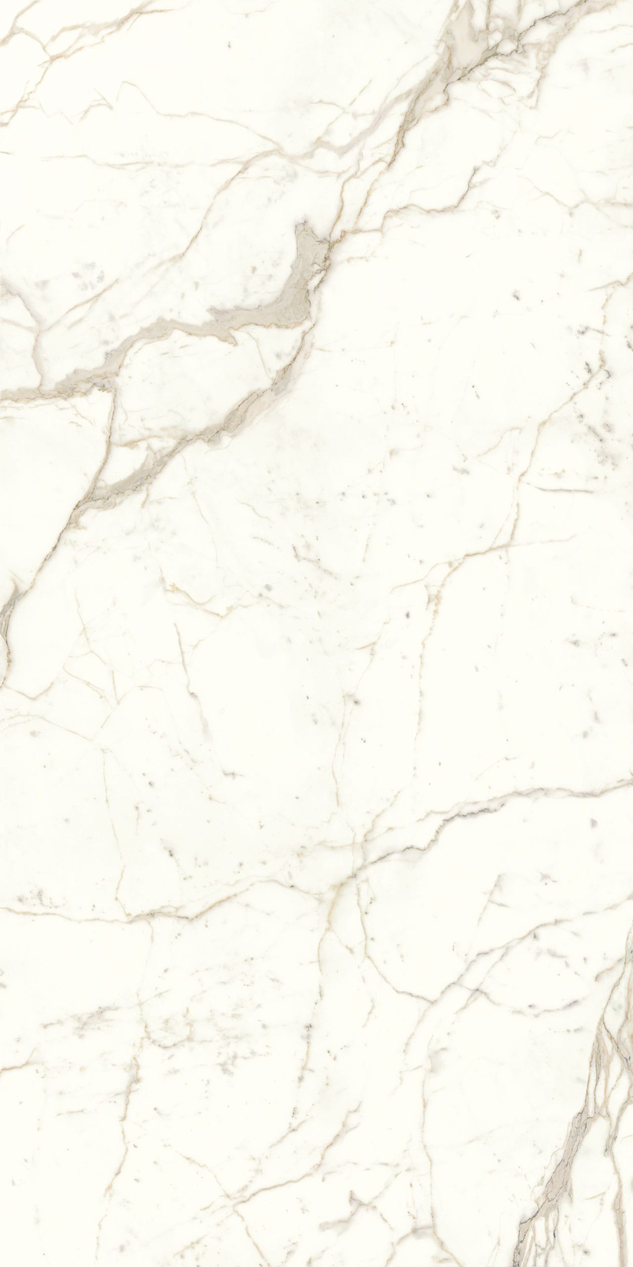 Calacatta Prestige Porcelain Swatch