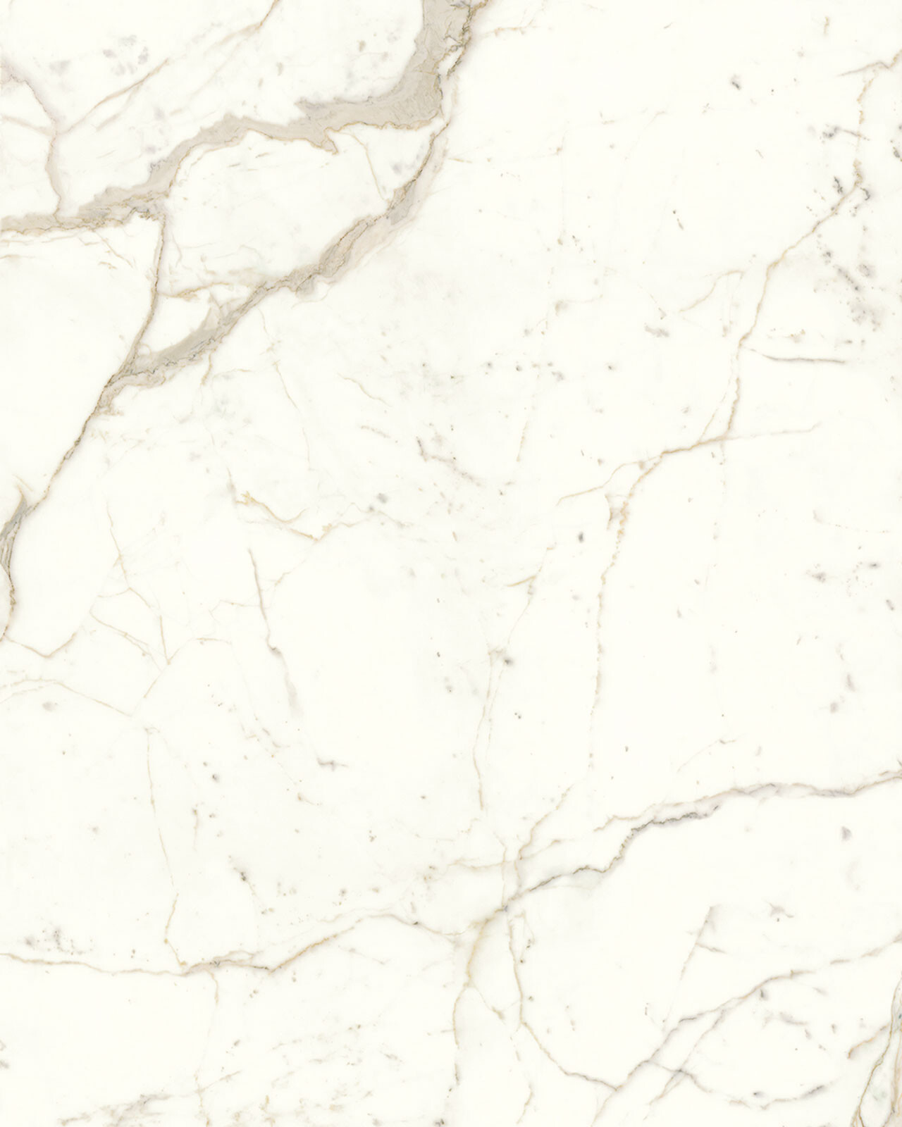 Calacatta Prestigio Porcelain Swatch