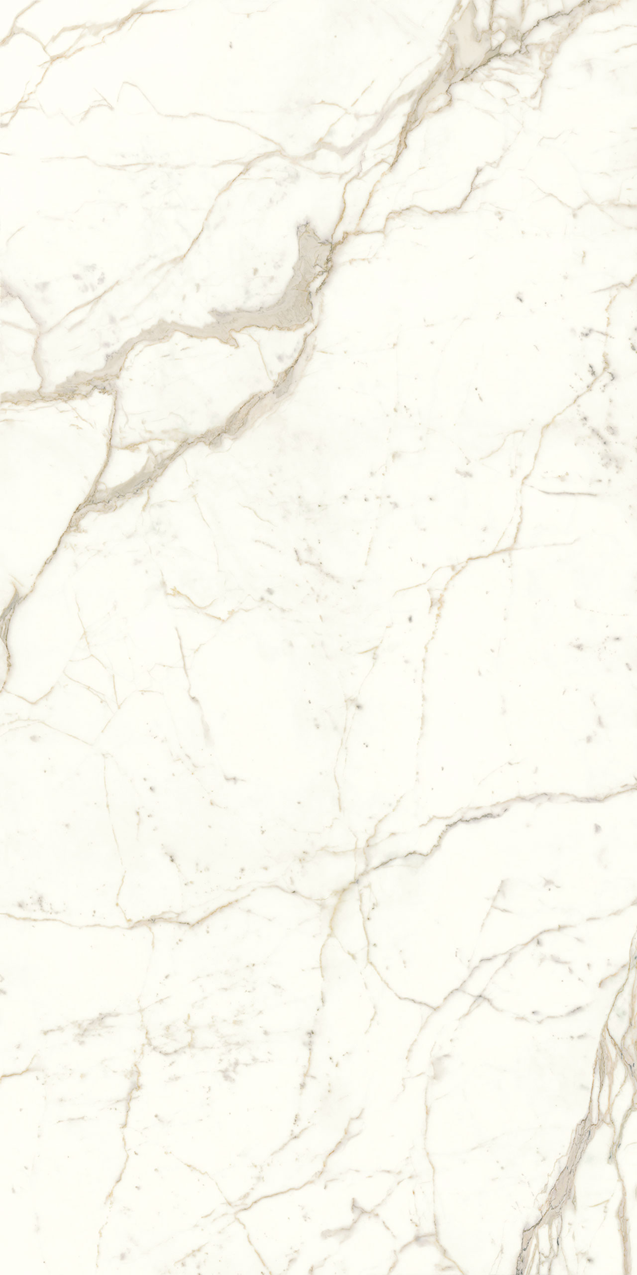 Calacatta Prestigio Porcelain Swatch