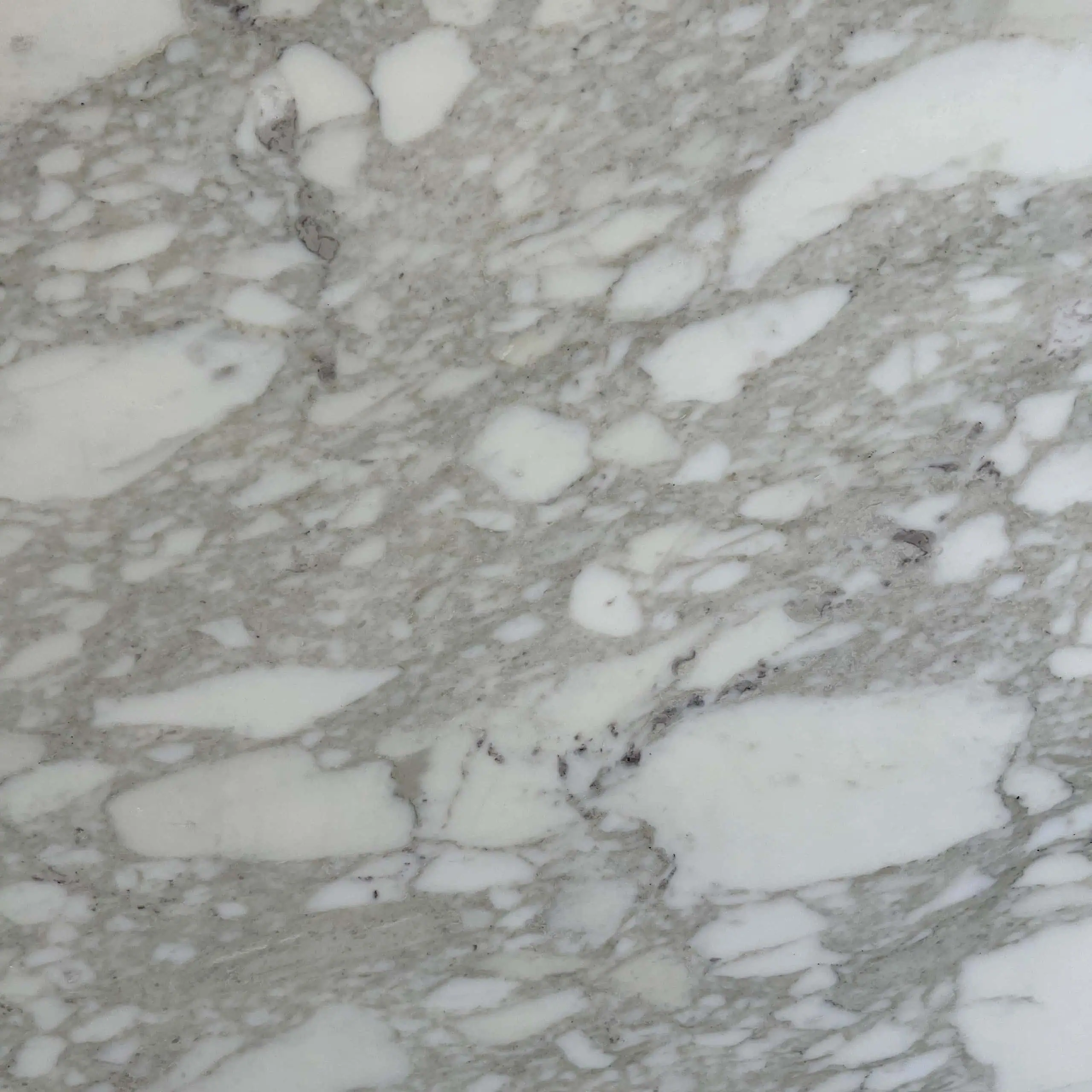 Calacatta Tempesta Marble Swatch