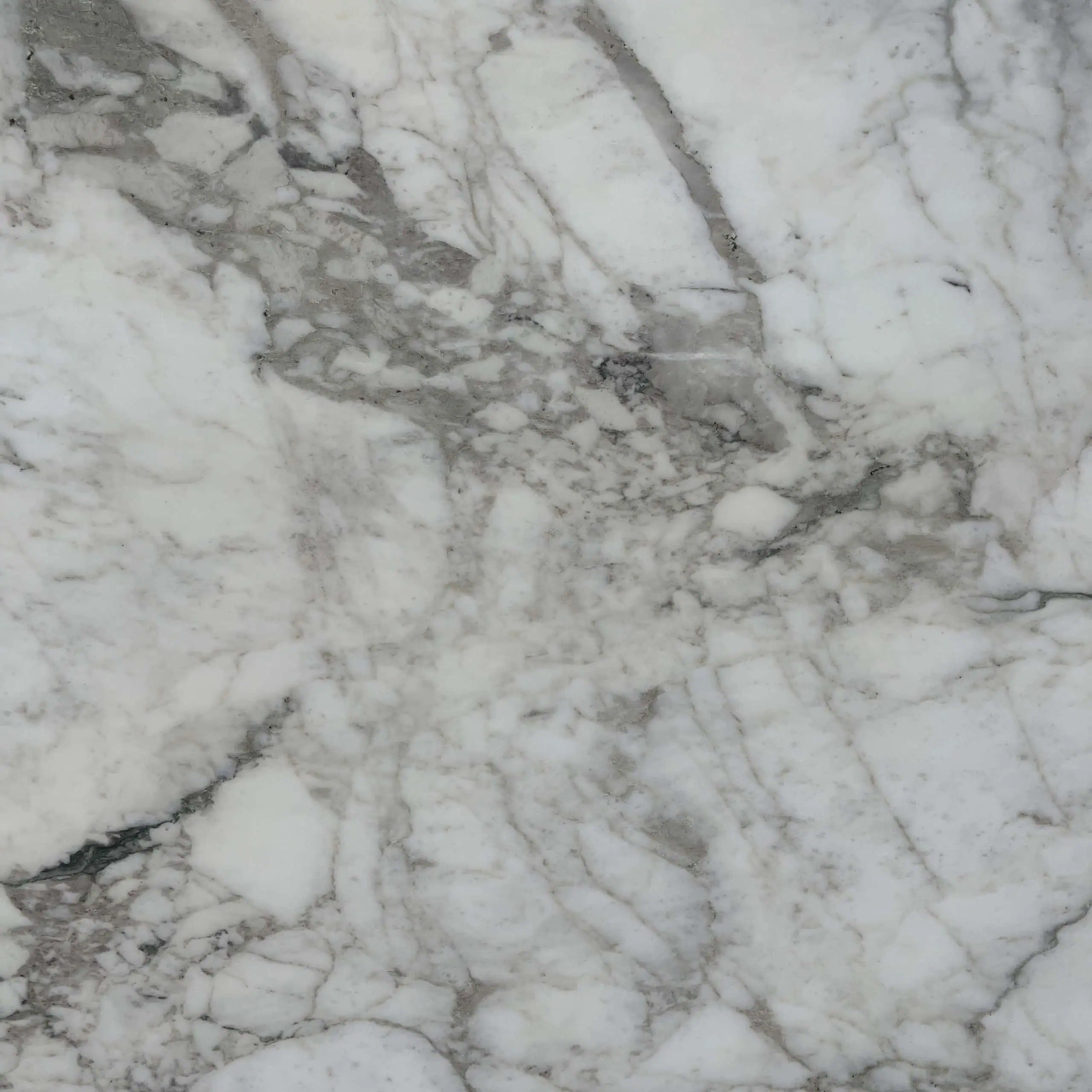 Calacatta Vagli Antico Marble Swatch