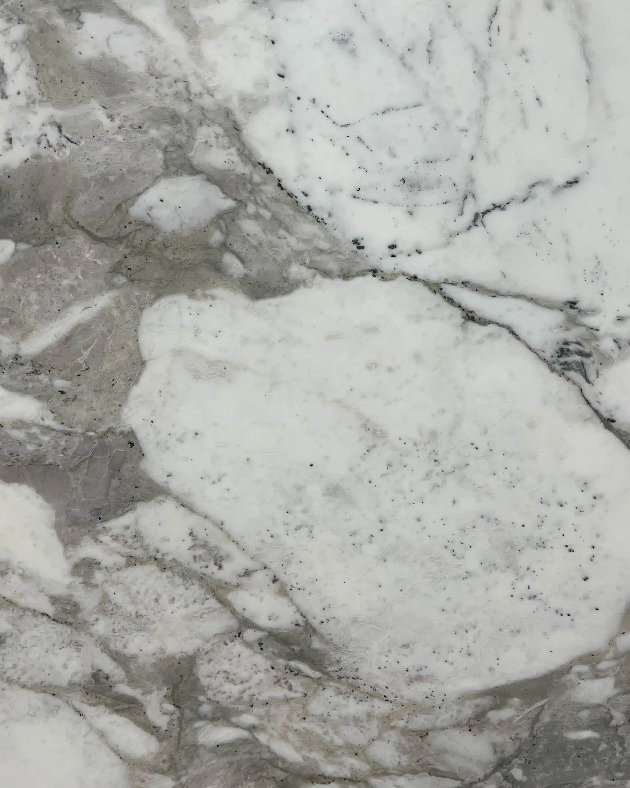 Calacatta Vagli Marble Swatch