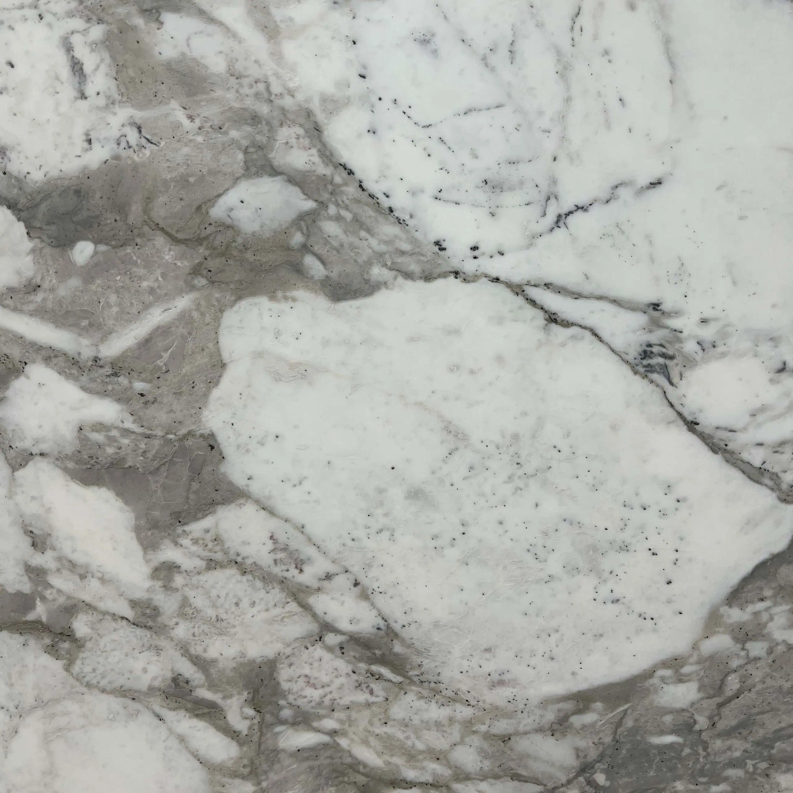 Calacatta Vagli Marble Swatch