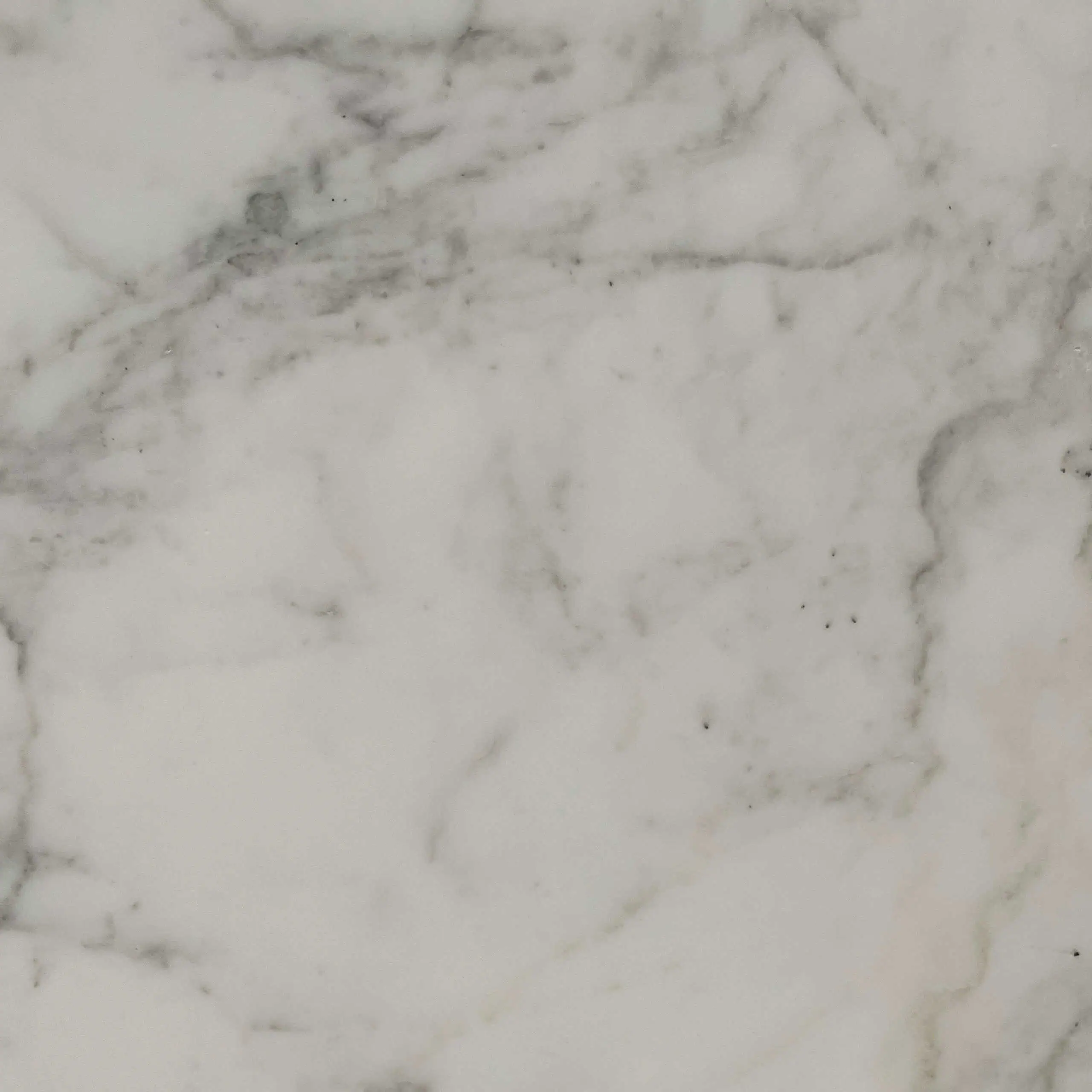 Calacatta Versilia Marble Swatch