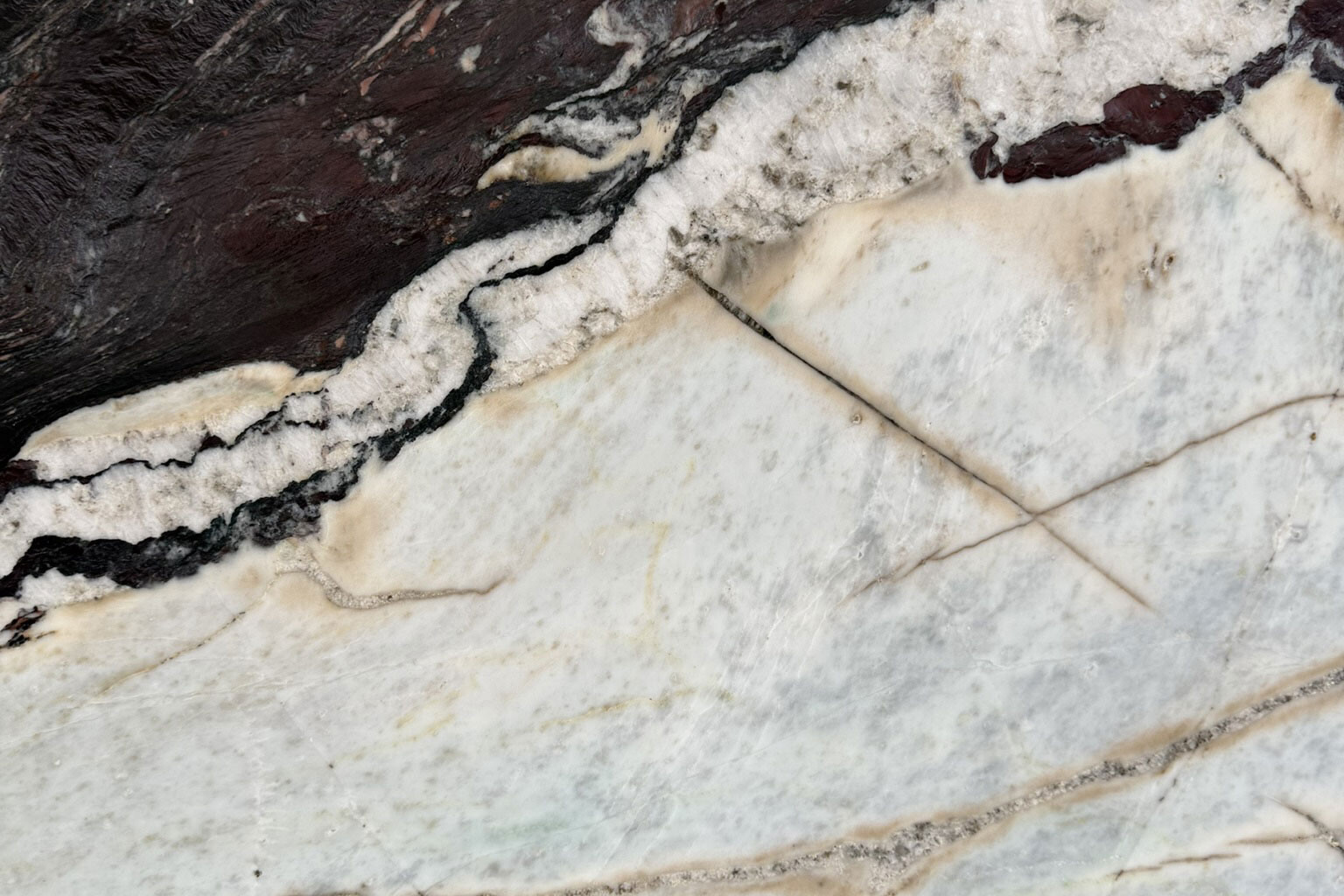 Calacatta Viola Antico Marble Swatch