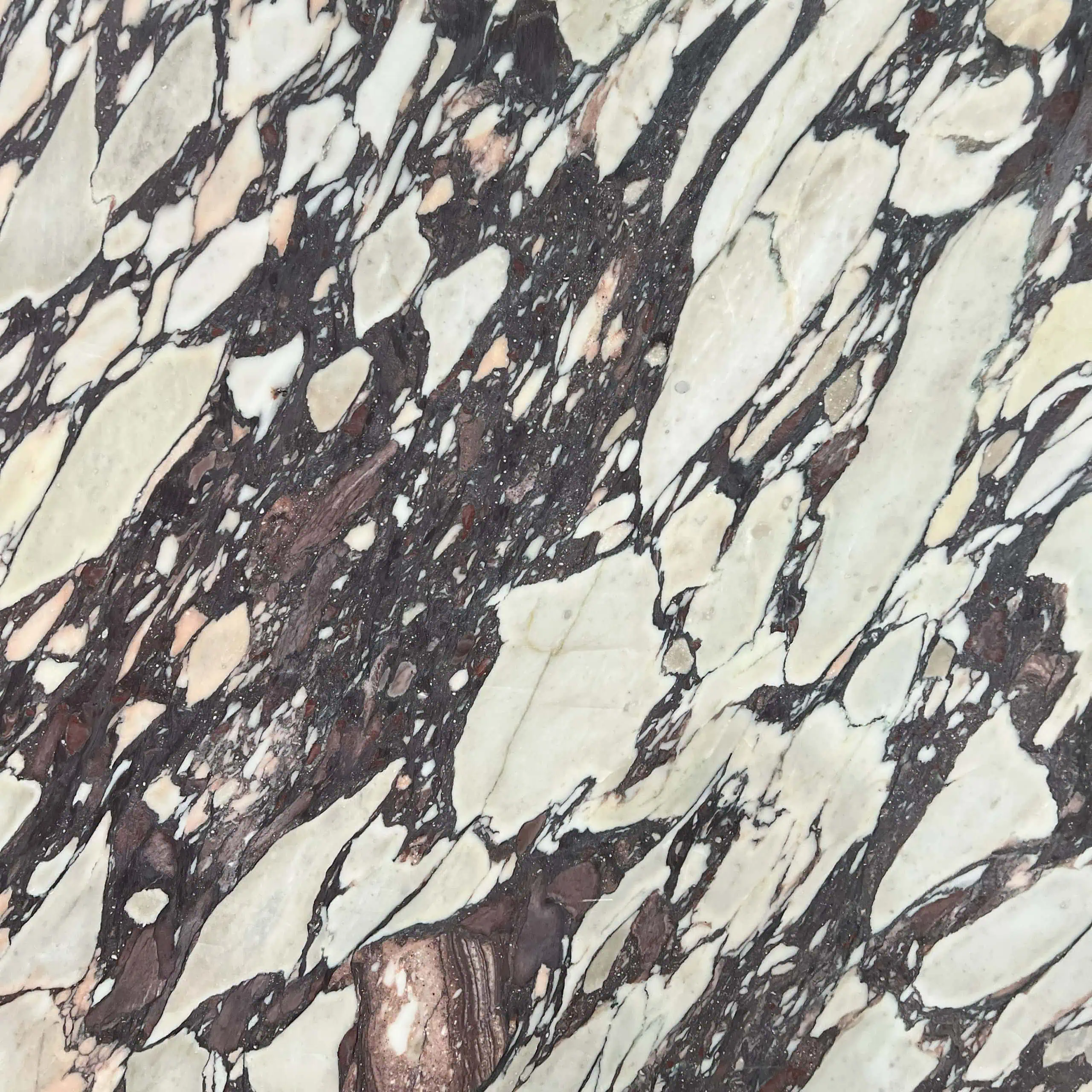 Calacatta Viola Marble Swatch