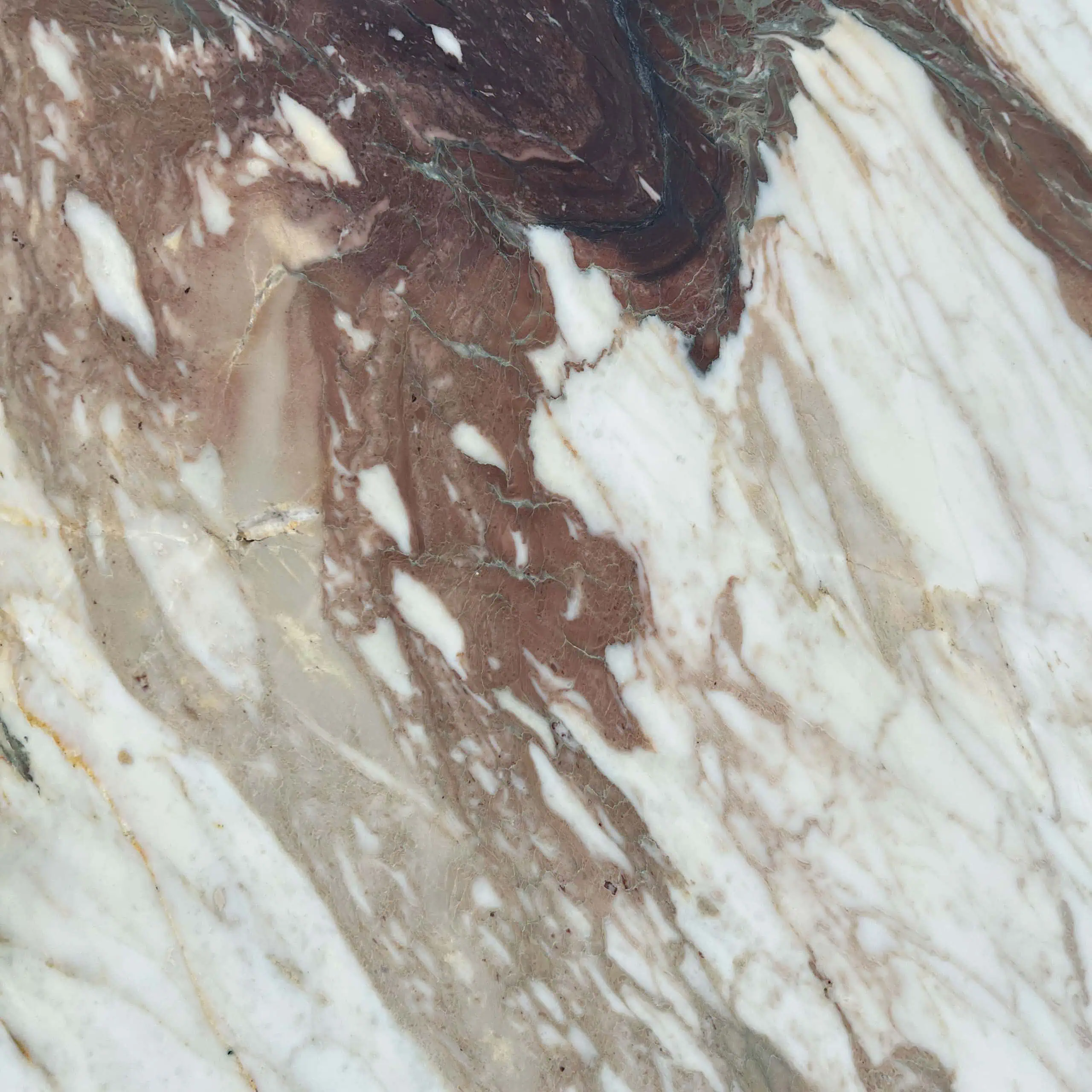 Calacatta Viola Monet Marble Swatch