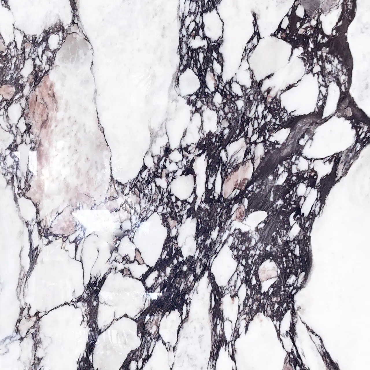 Calacatta Viola Porcelain Slab