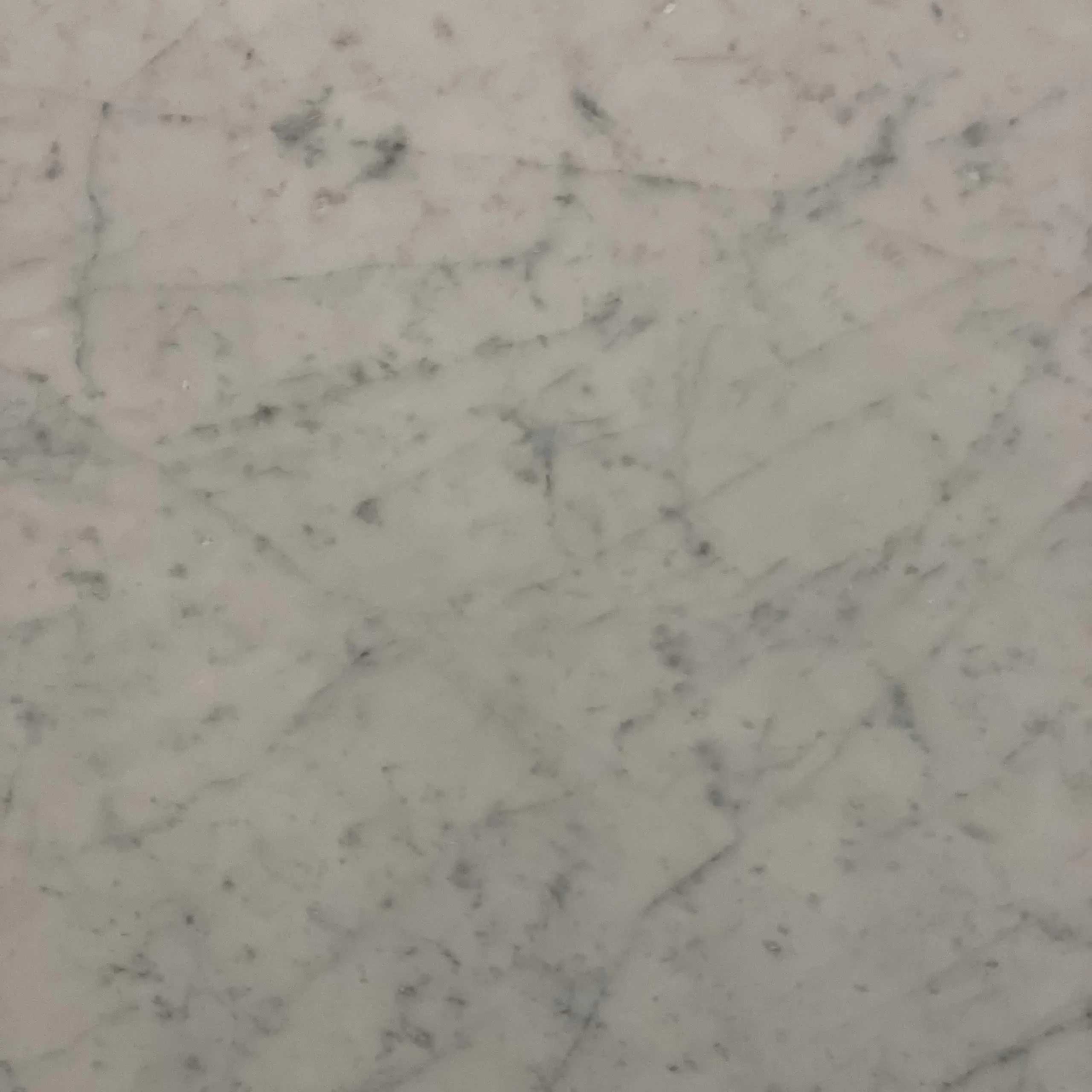 Carrara Marble Swatch