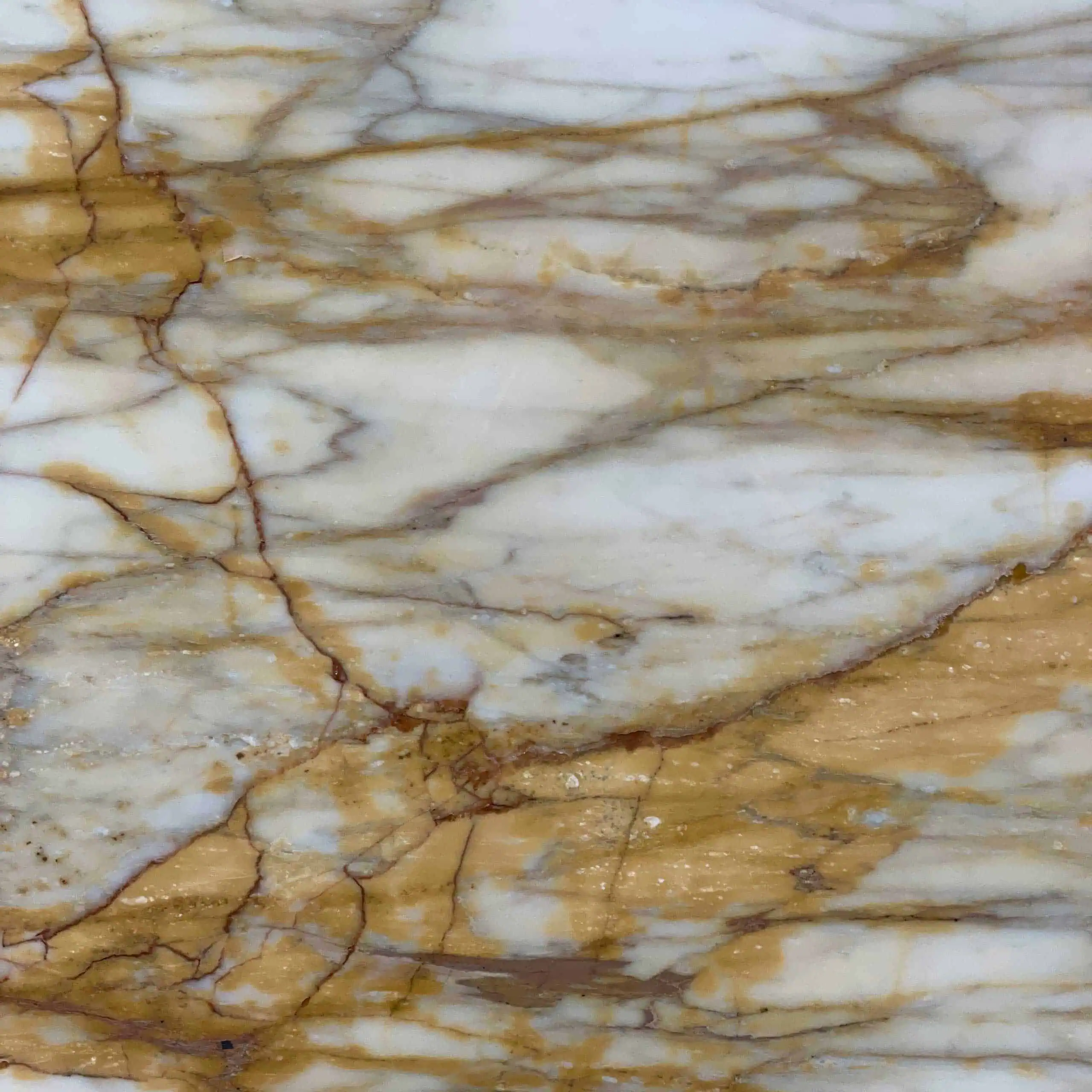 Giallo Siena Marble Swatch