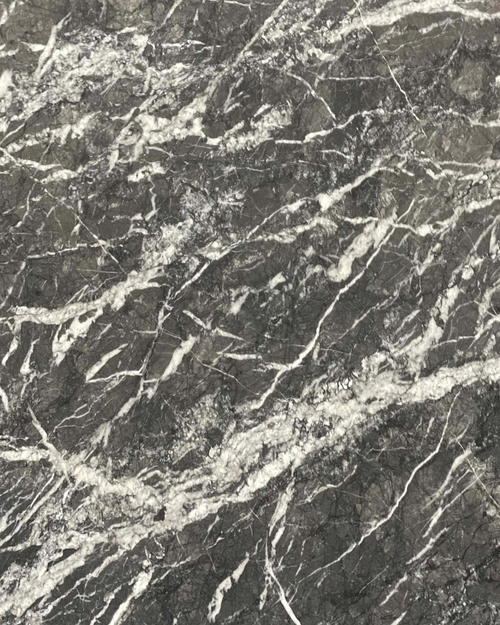 Grigio Carnico Marble Swatch