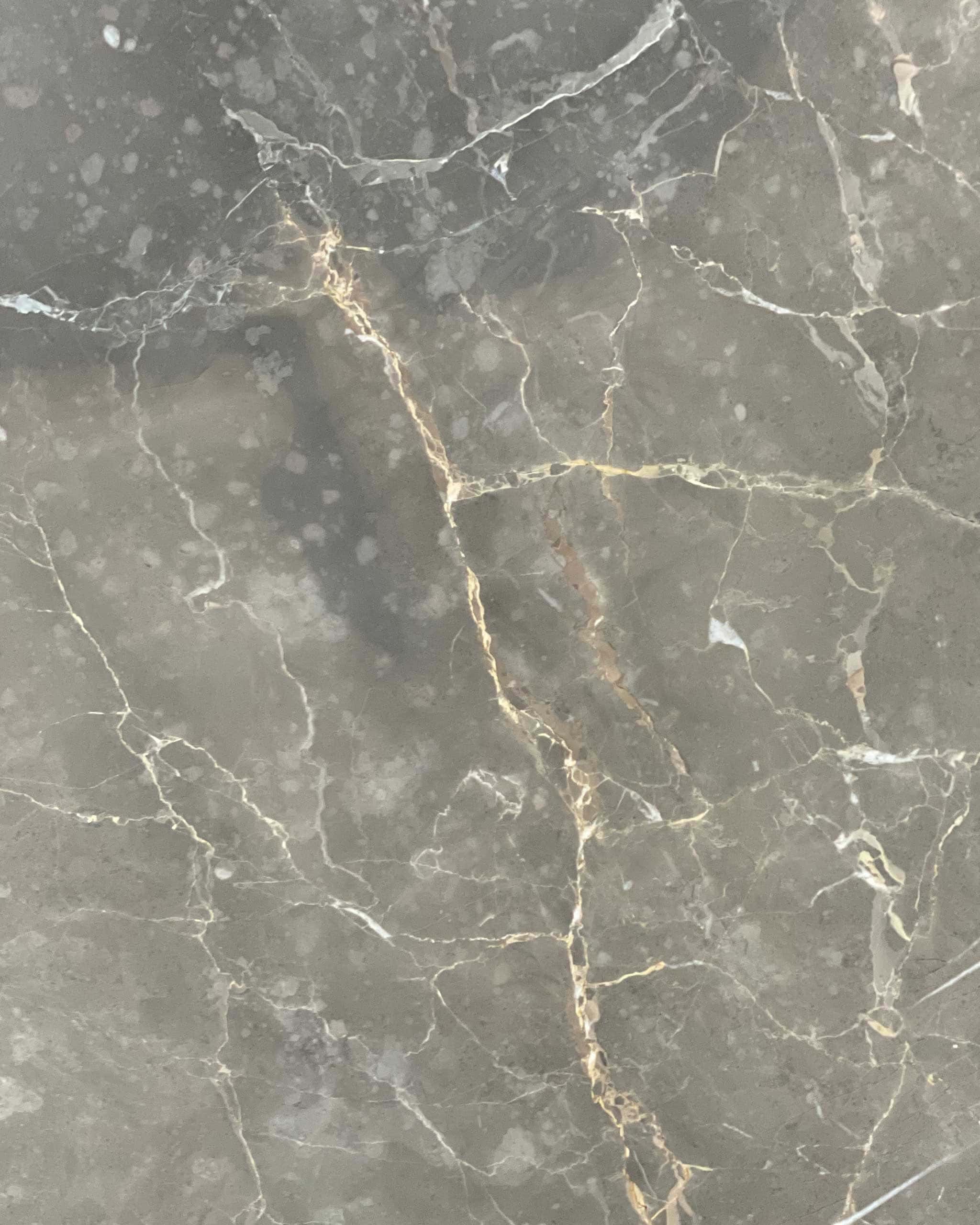 Grigio Collemandina Marble Swatch