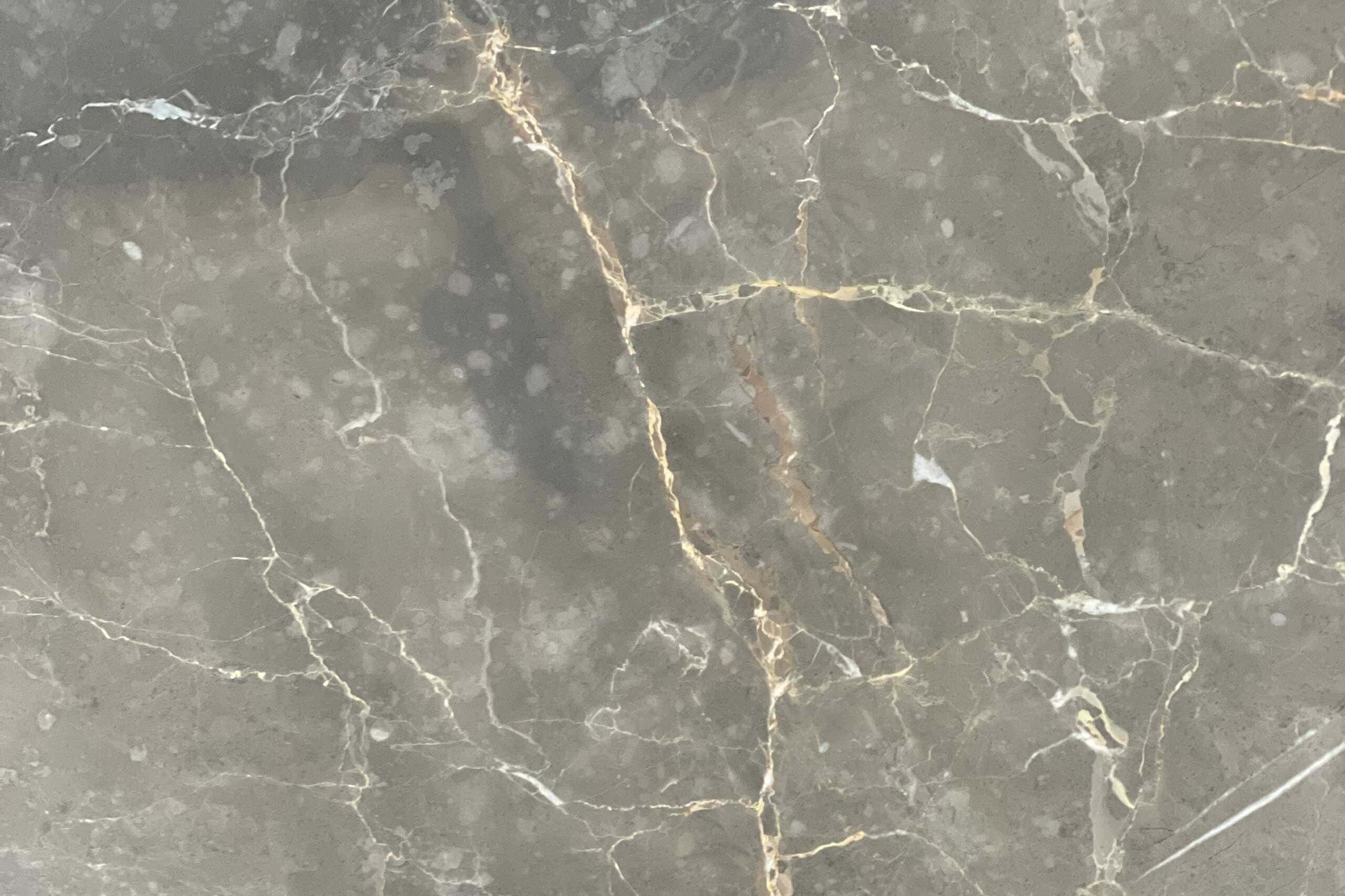 Grigio Collemandina Marble Swatch