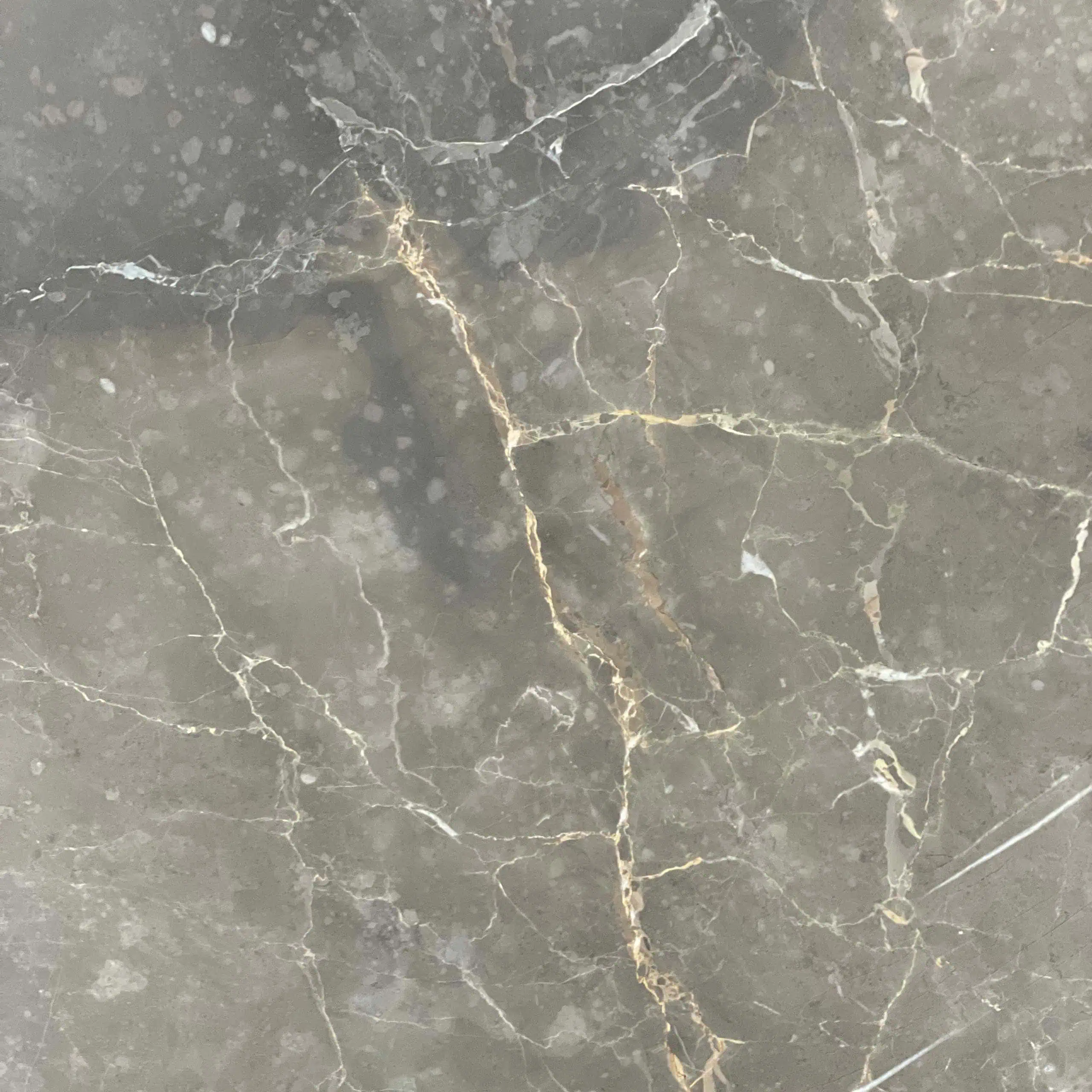 Grigio Collemandina Marble Swatch