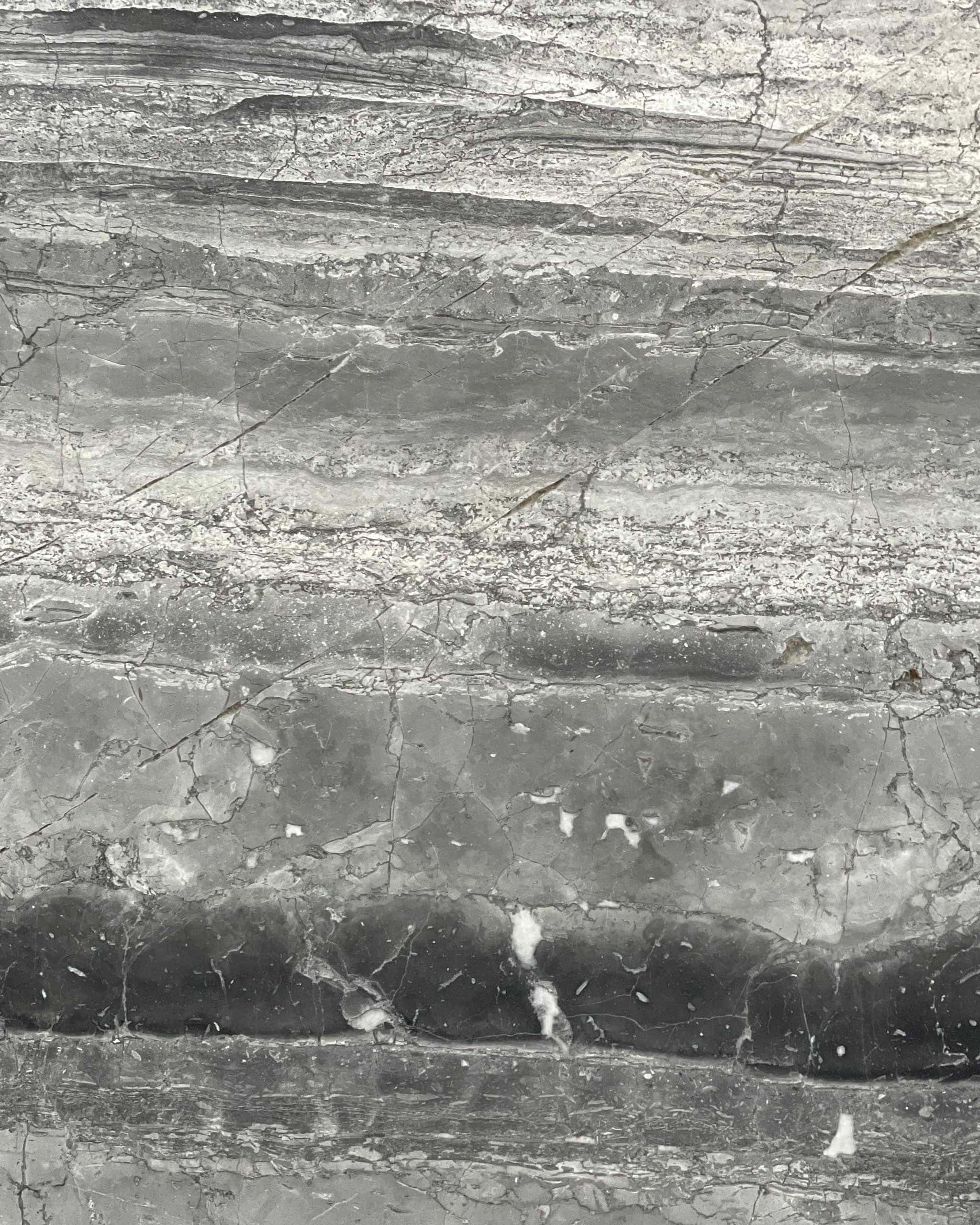 Grigio Striato Marble Swatch