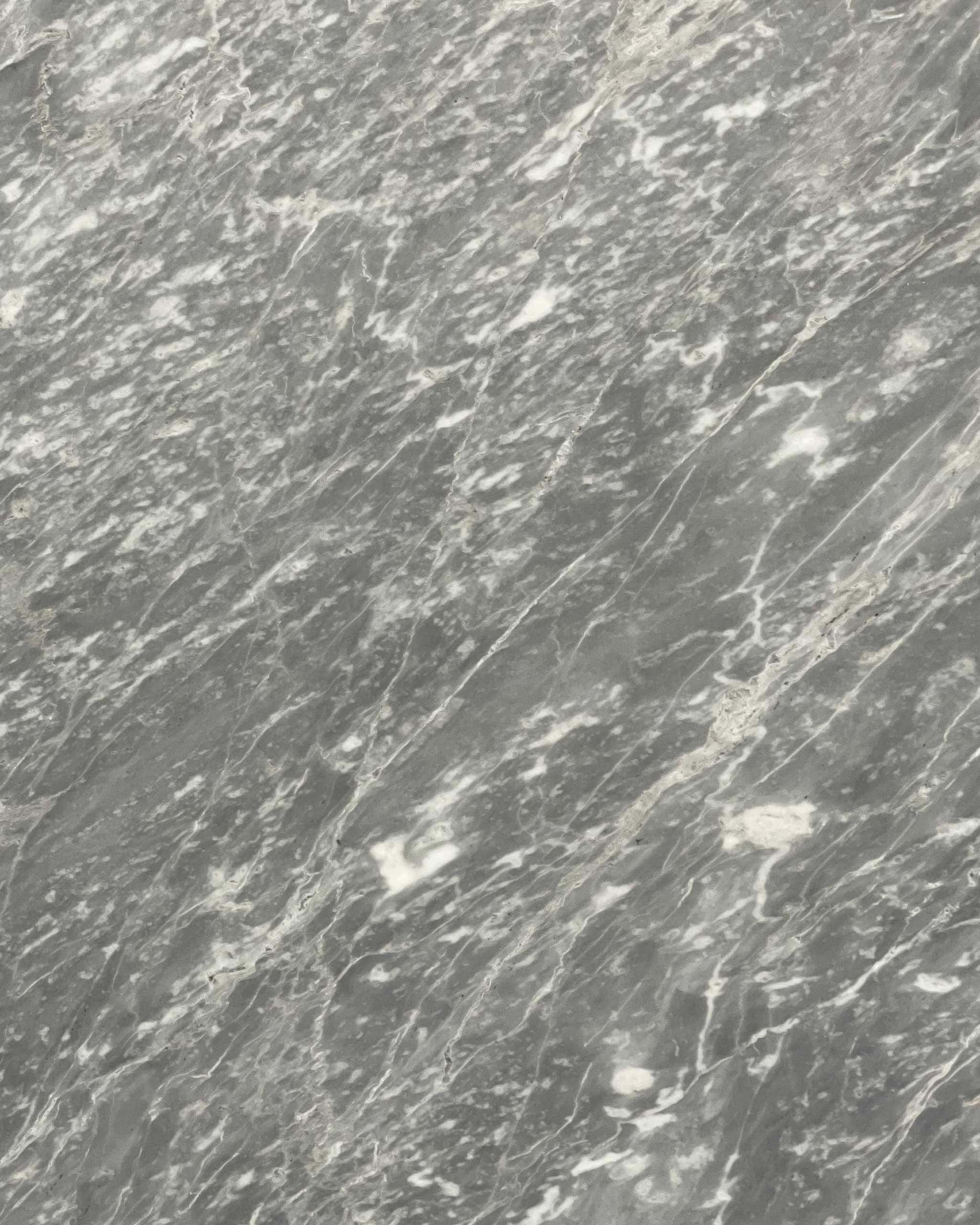 Grigio Versilia Marble Swatch