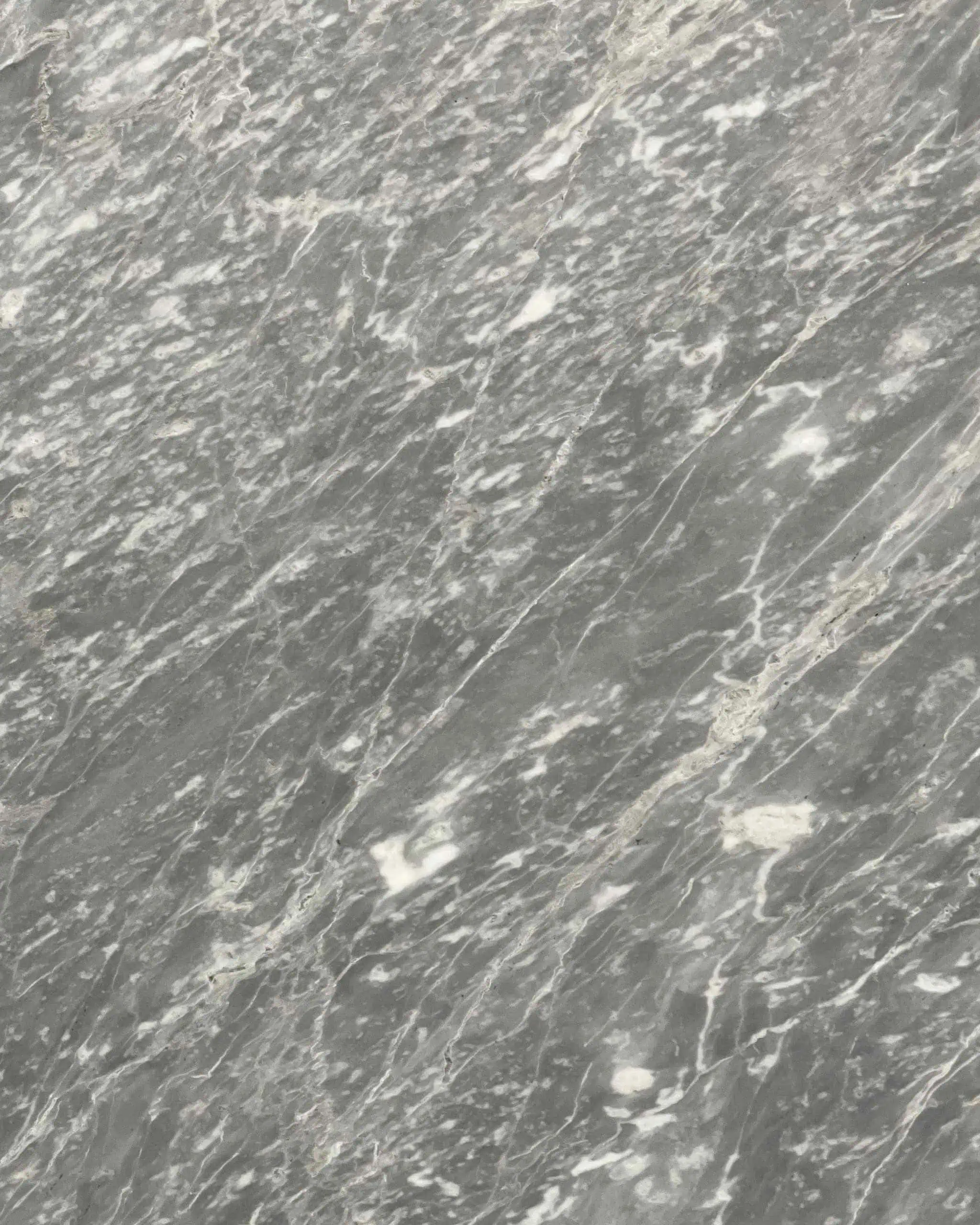 Grigio Versilia Marble Swatch