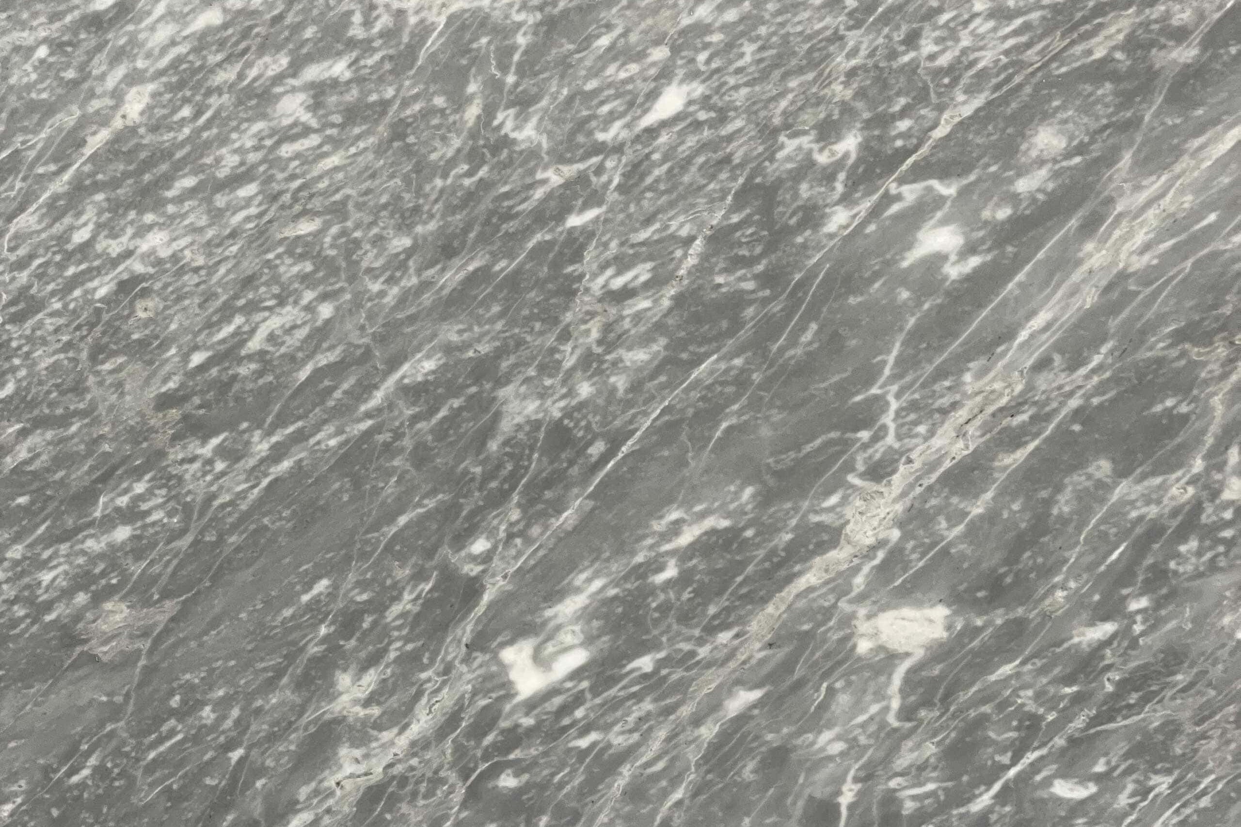 Grigio Versilia Marble Swatch