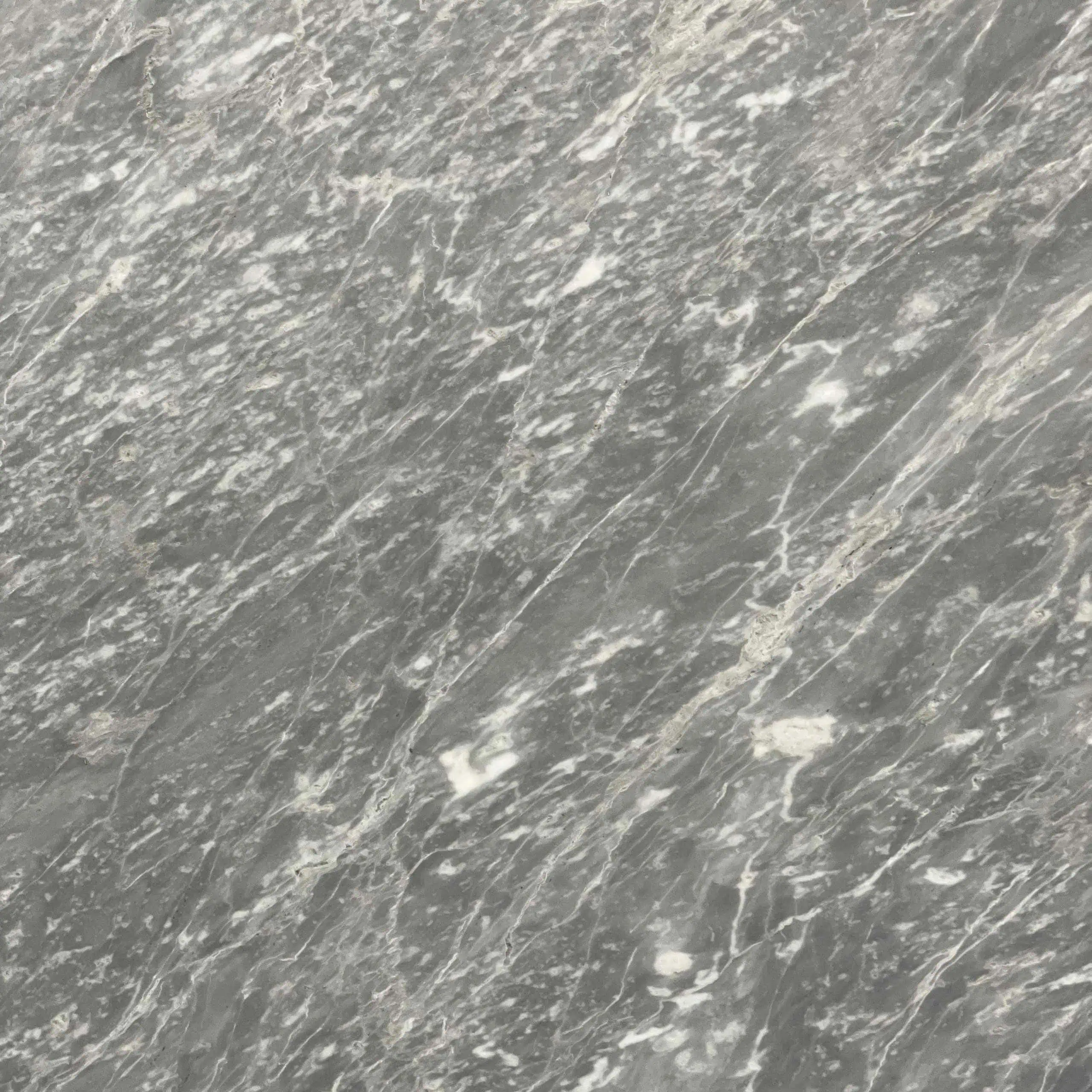 Grigio Versilia Marble Swatch