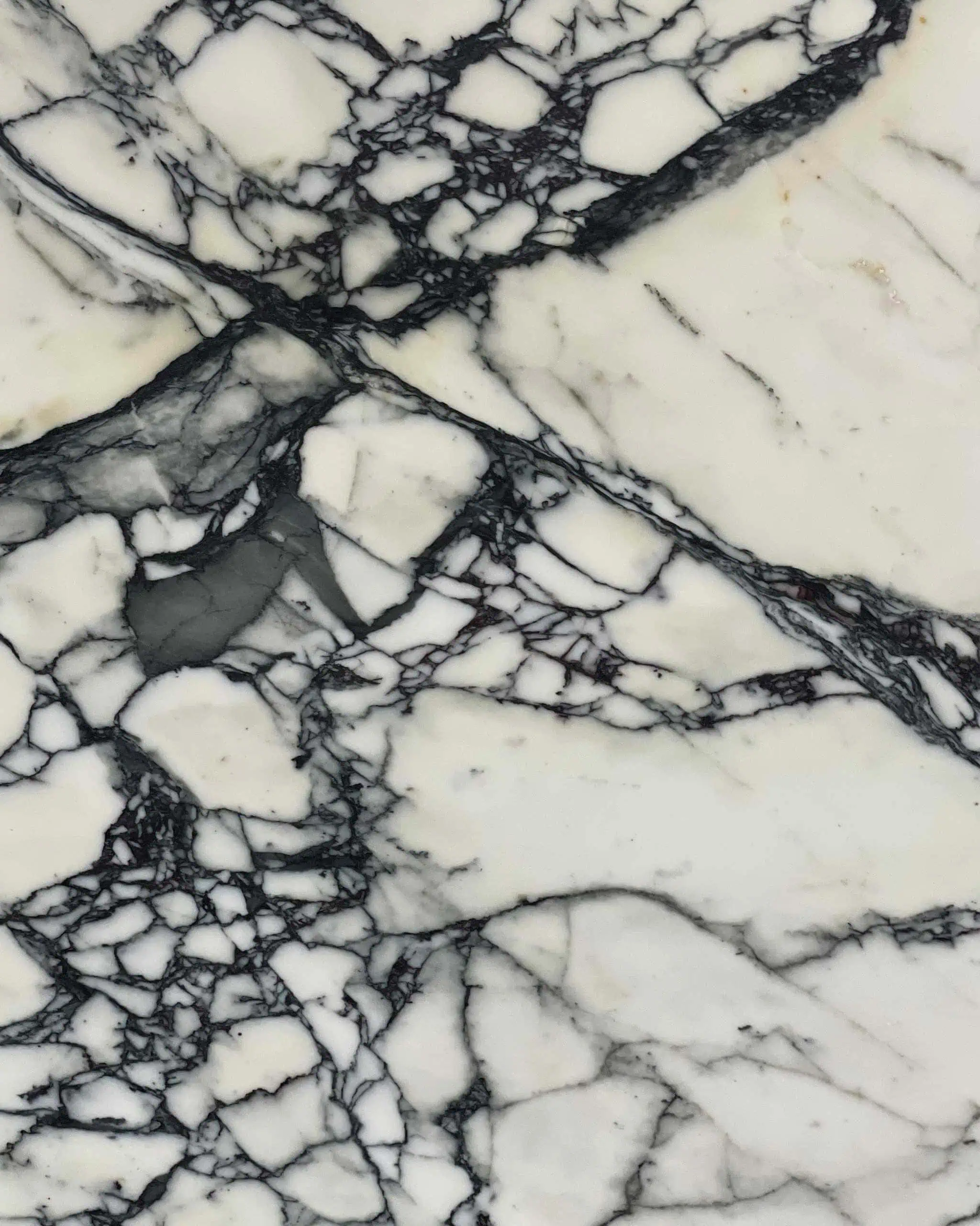 Paonazza Extra Marble Swatch