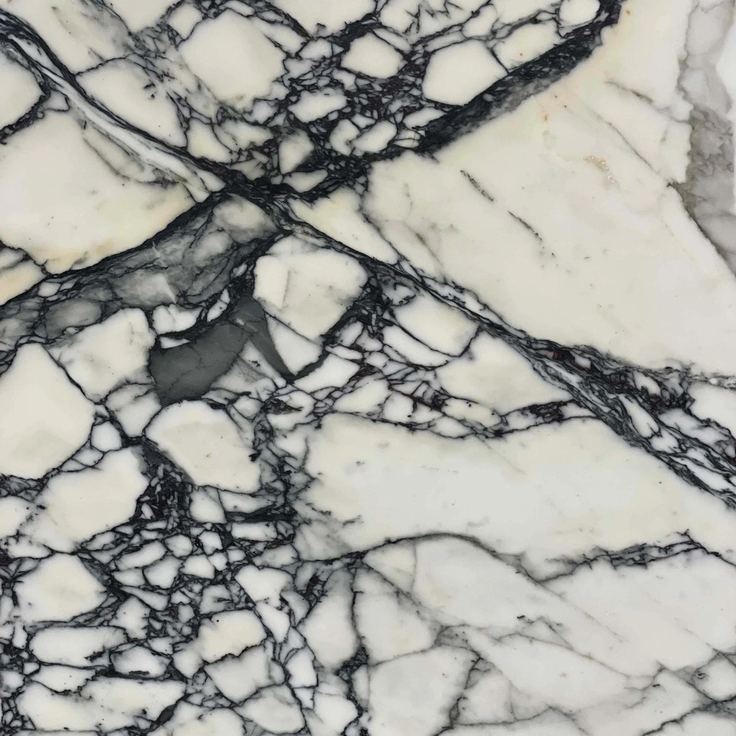 Paonazza Extra Marble Swatch