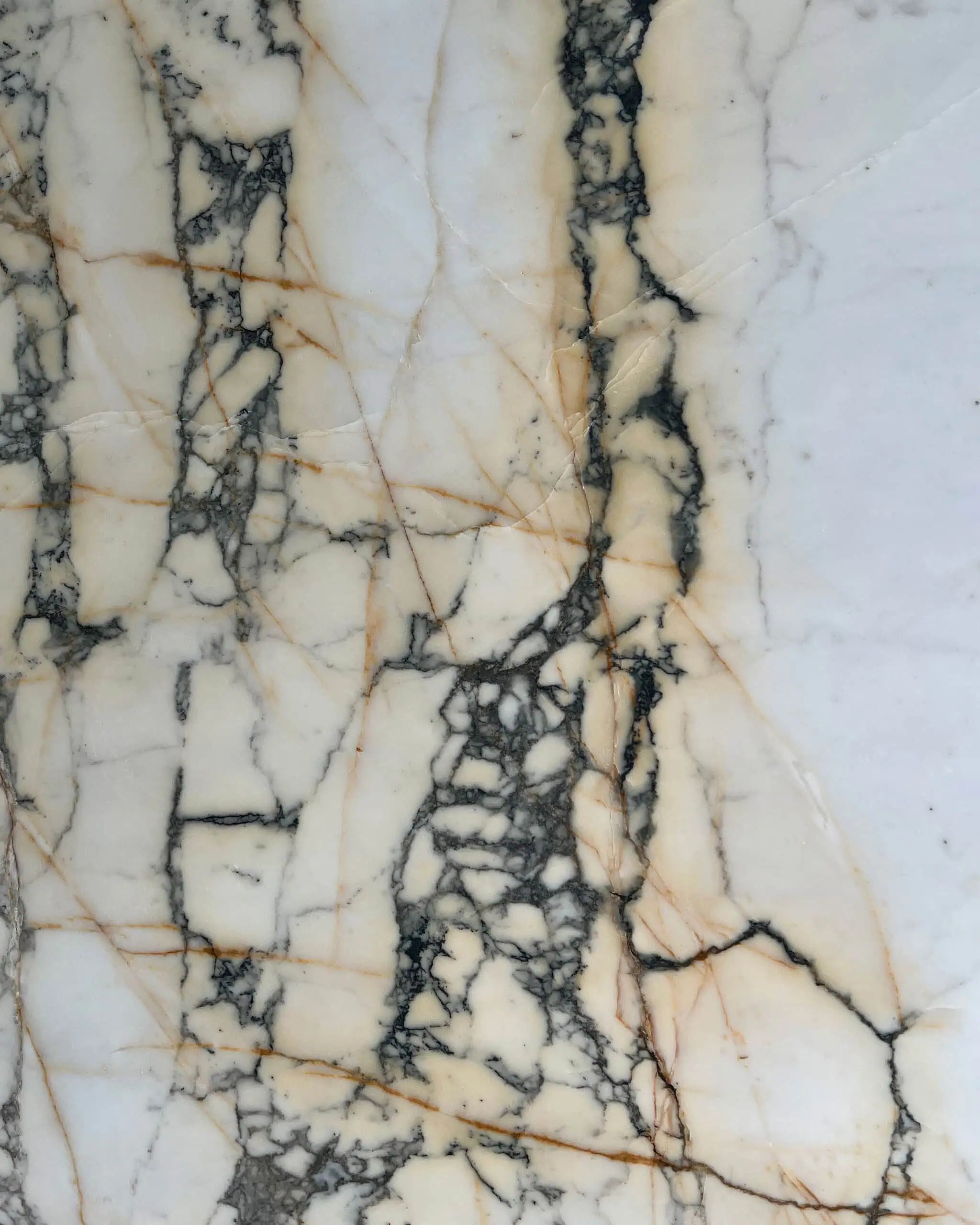 Paonazzo Marble Swatch