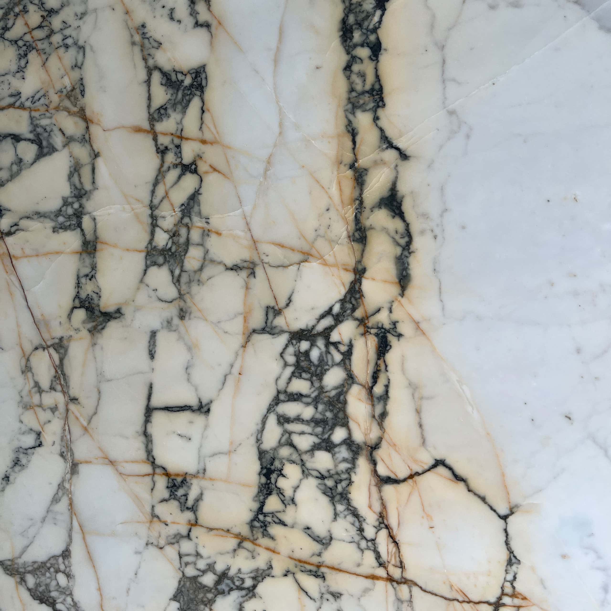 Paonazzo Marble Swatch