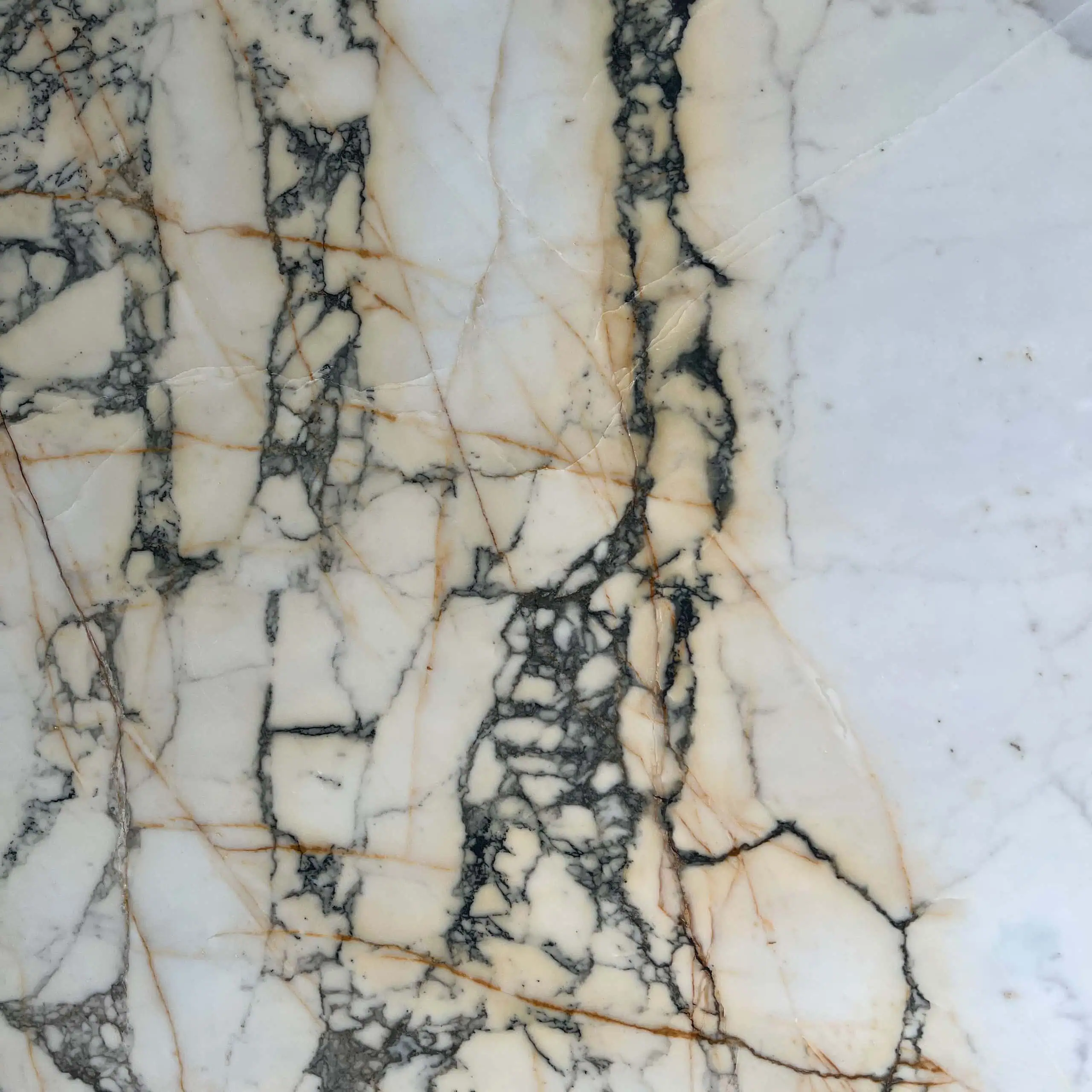 Paonazzo Marble Swatch