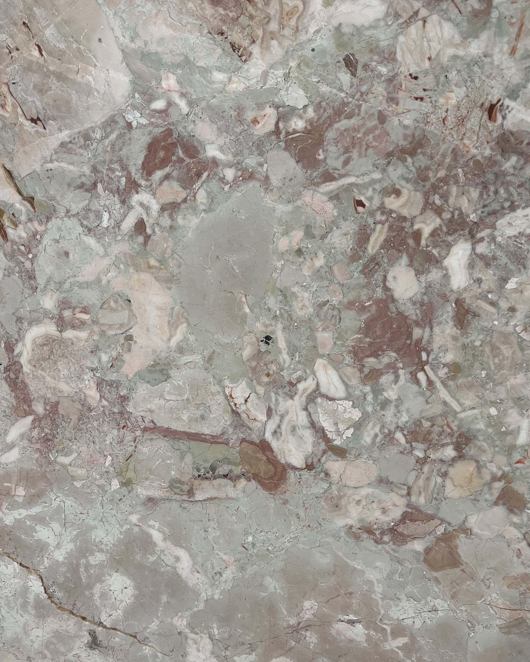 Quattro Stagioni Marble Swatch