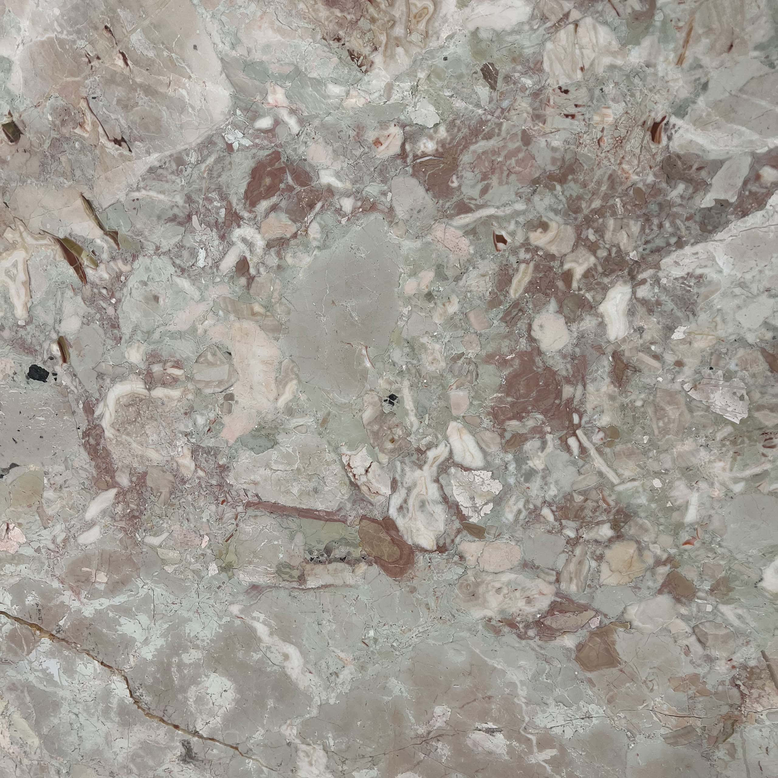 Quattro Stagioni Marble Swatch