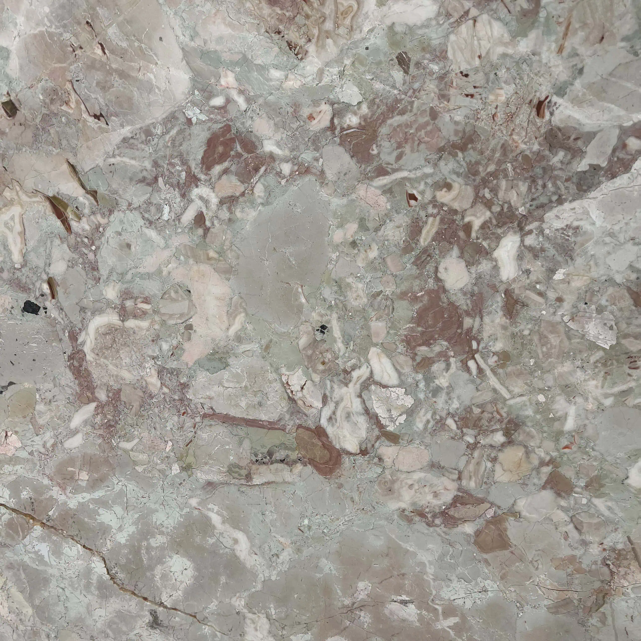 Quattro Stagioni Marble Swatch