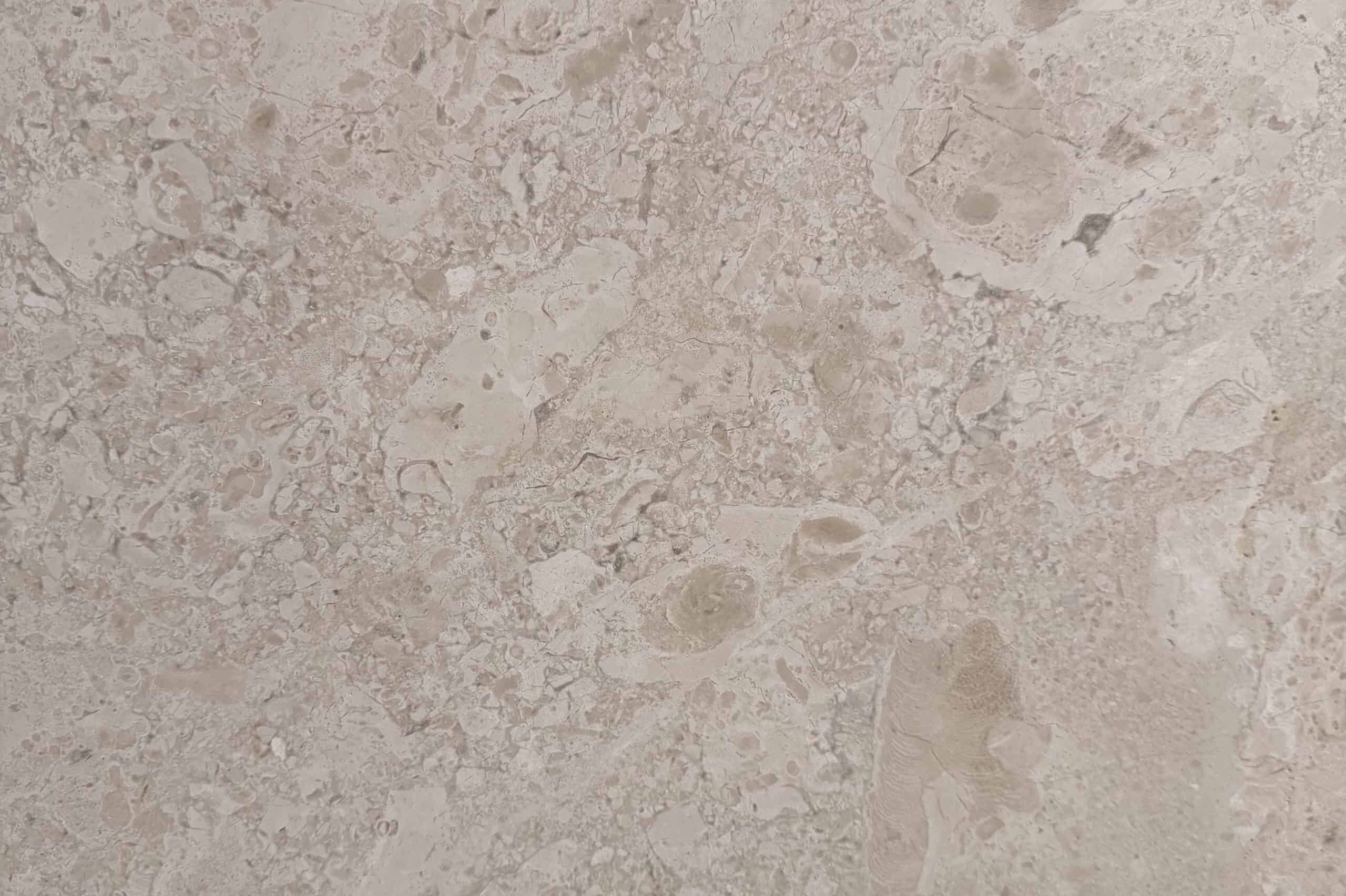 Savannah Limestone Swatch