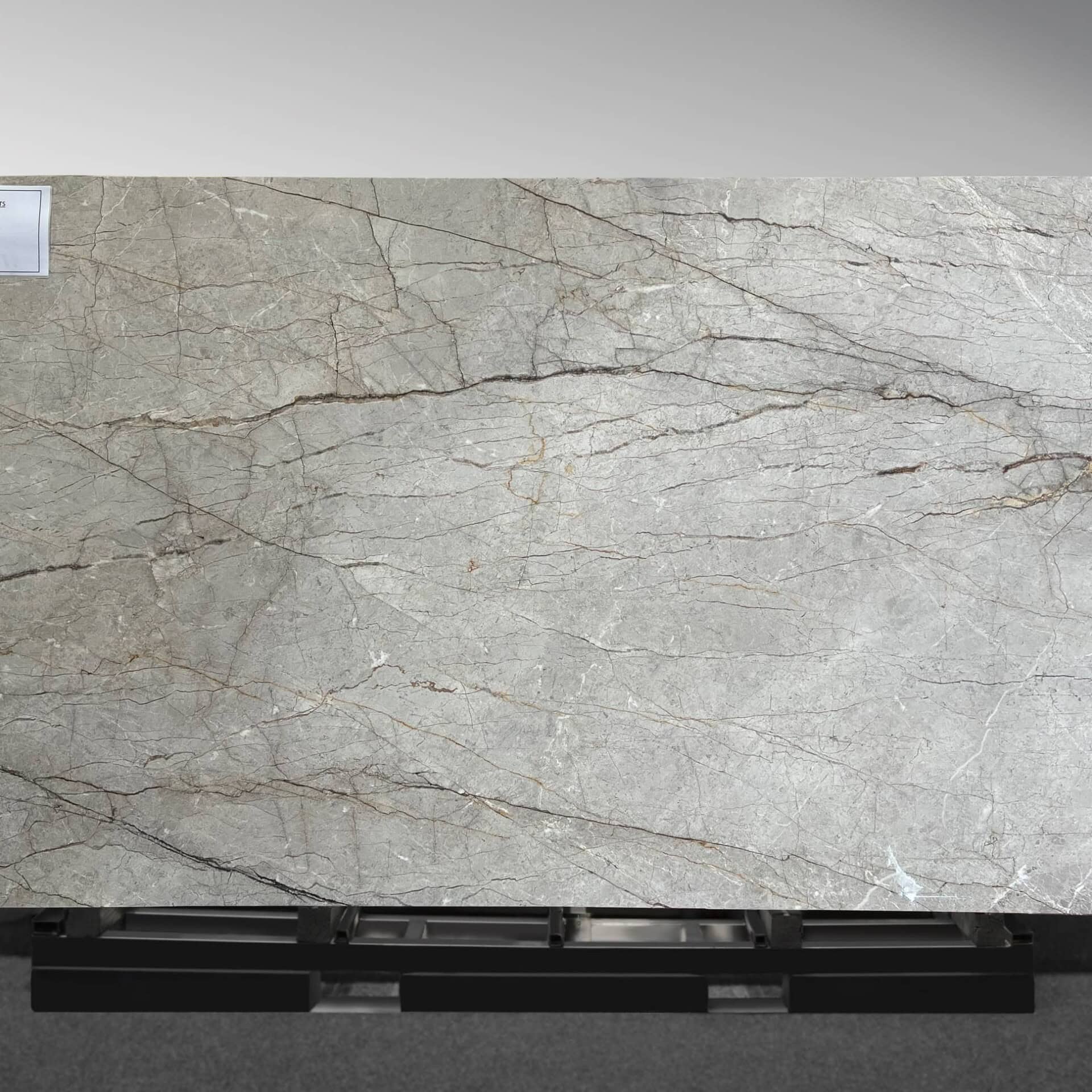 Silver Roots Marble Slab | Anterior XL