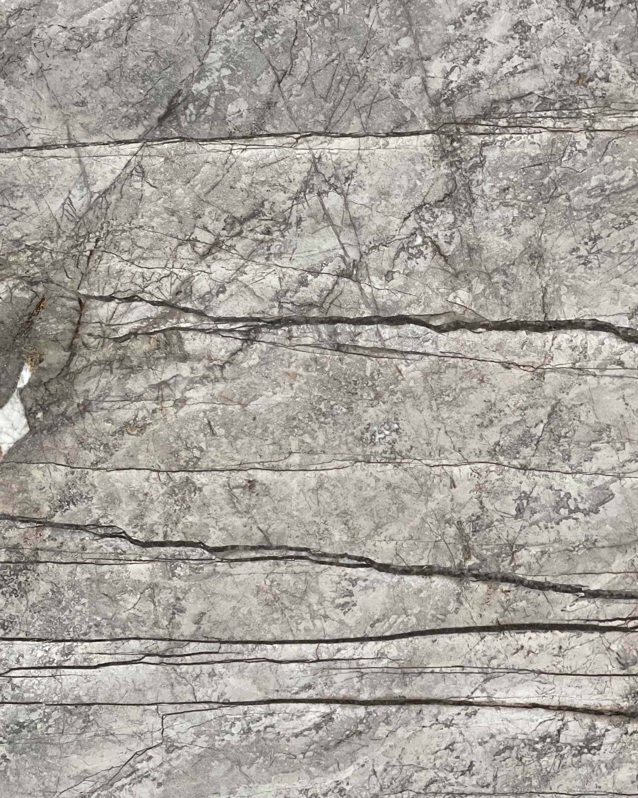 Silver Roots Marble Swatch