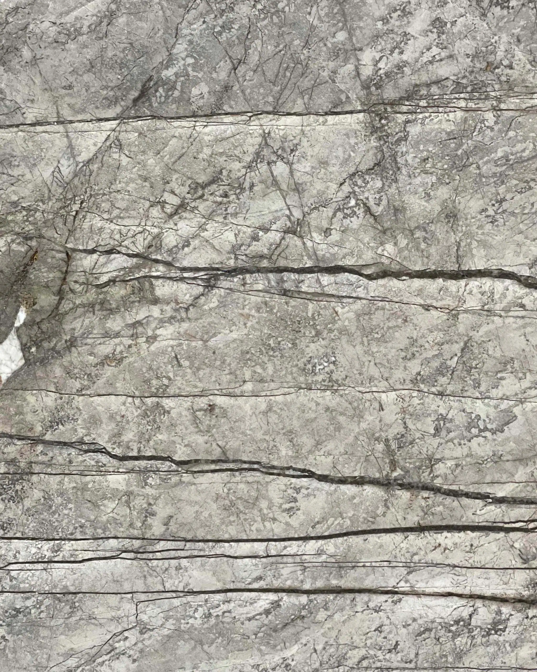 Silver Roots Marble Swatch
