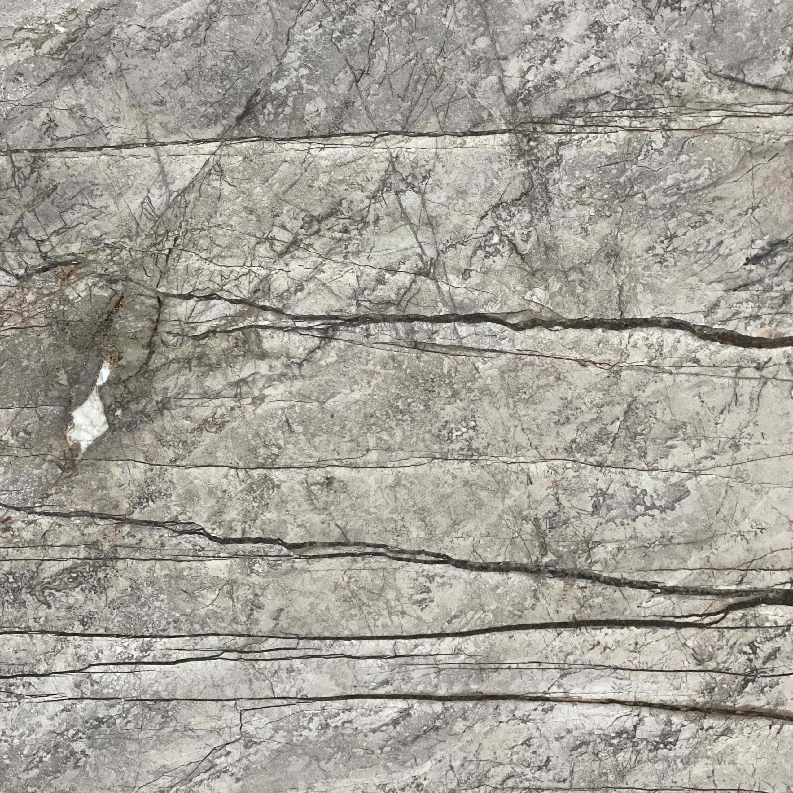 Silver Roots Marble Swatch