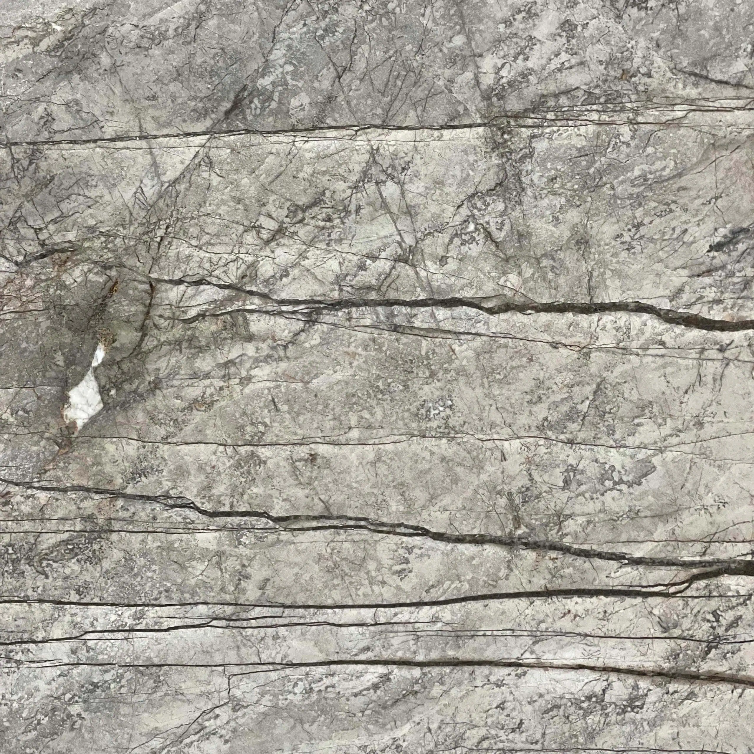 Silver Roots Marble Swatch