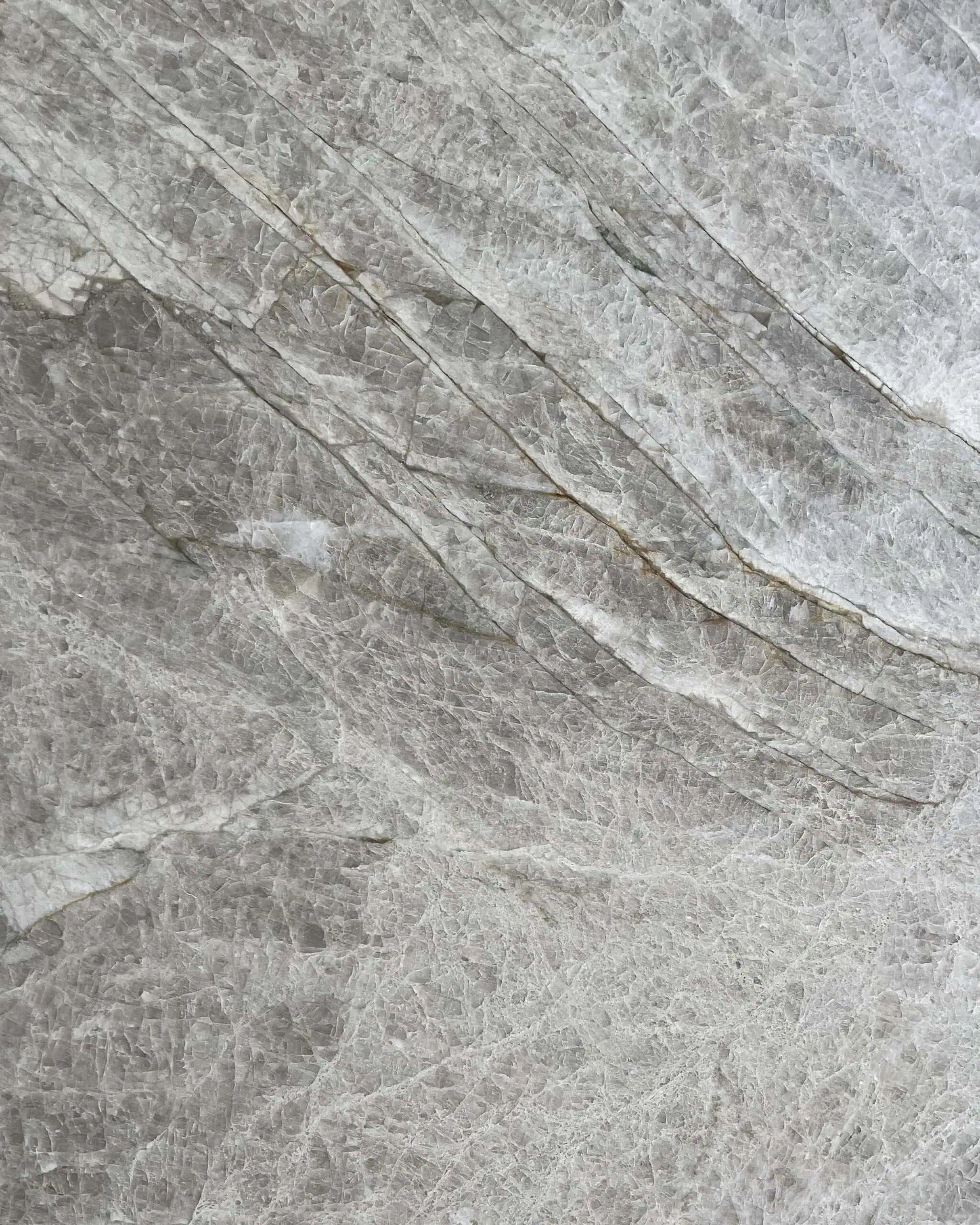 Taj Mahal Quartzite Swatch