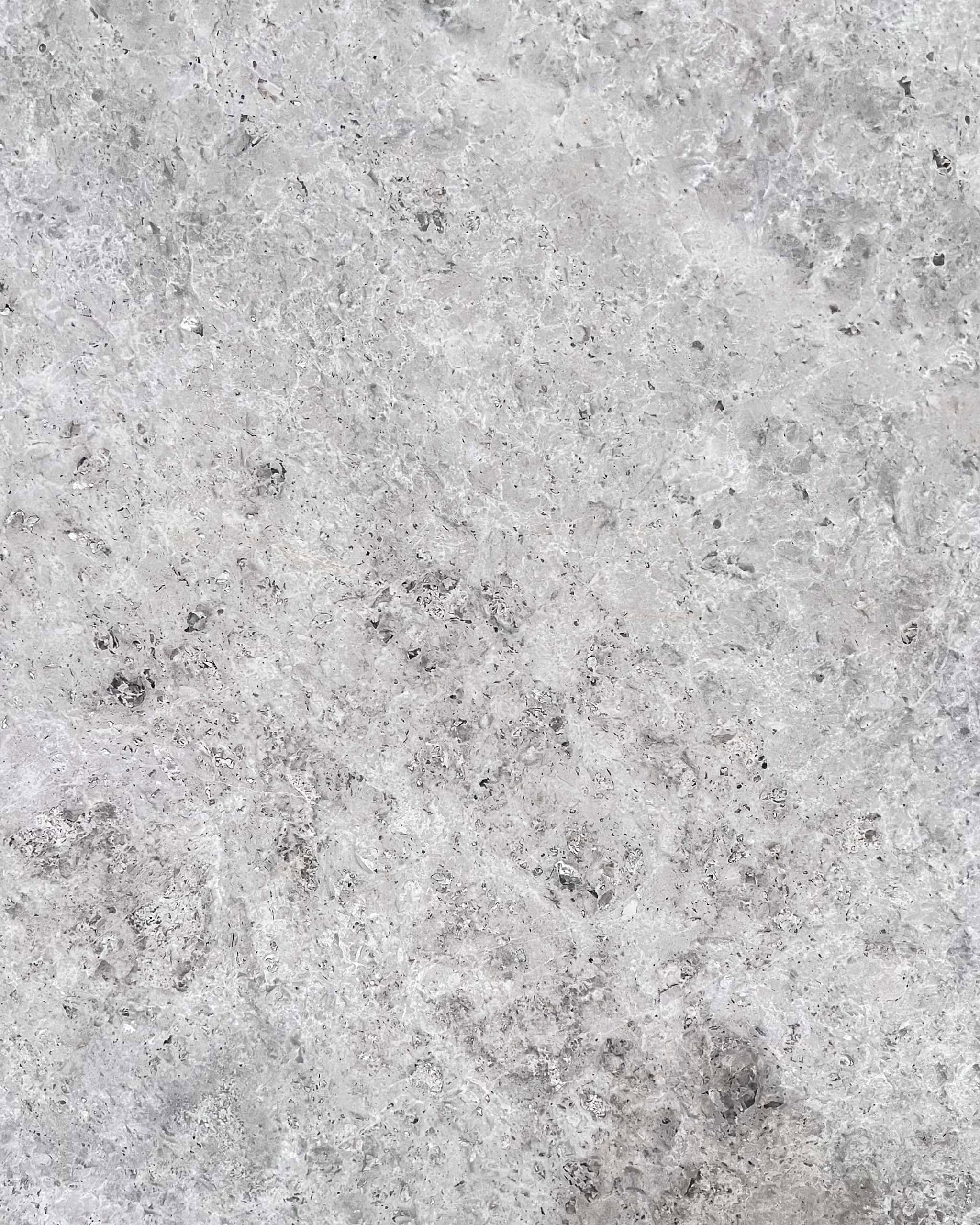 Venetian Grey Marble Swatch