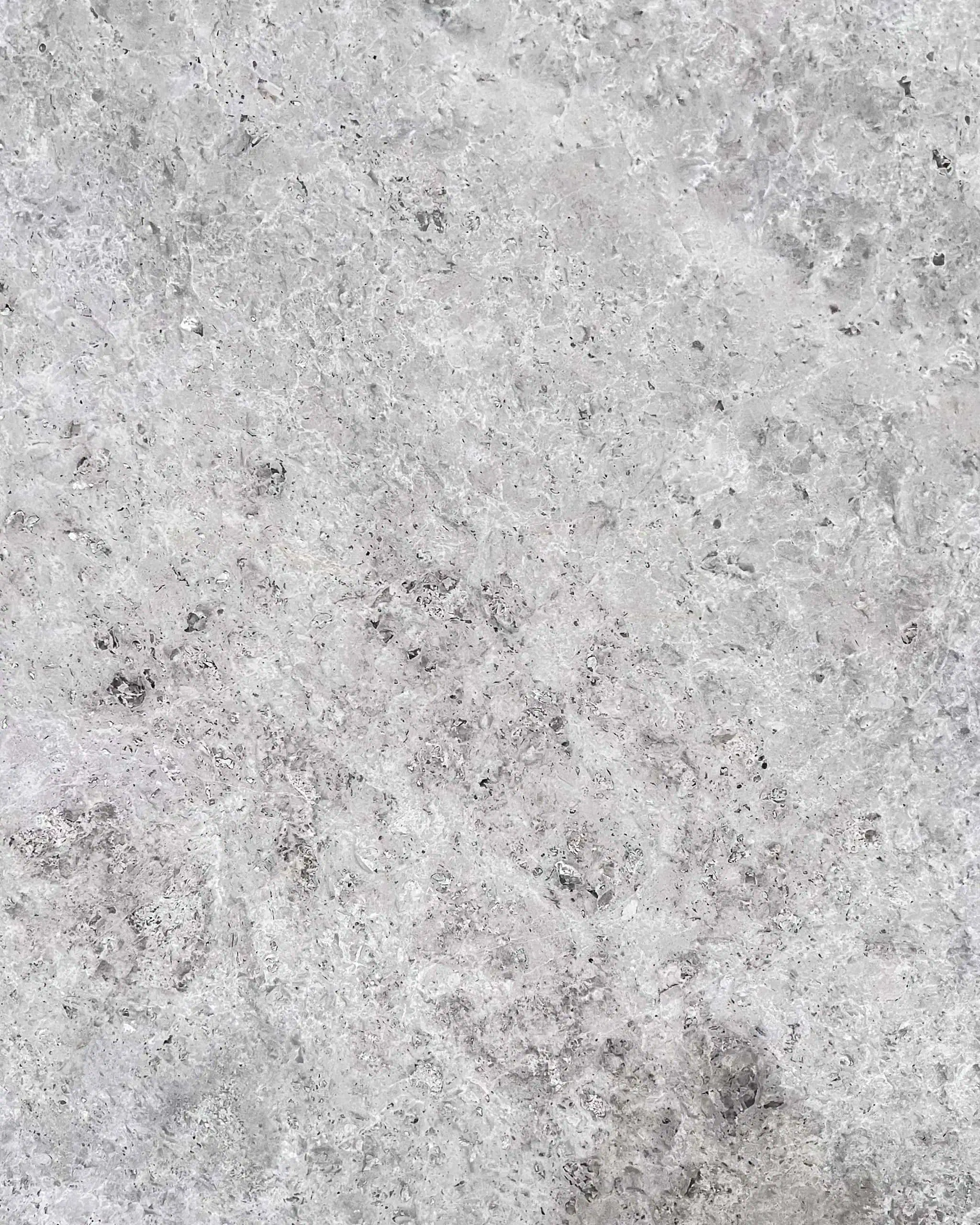 Venetian Grey Marble Swatch