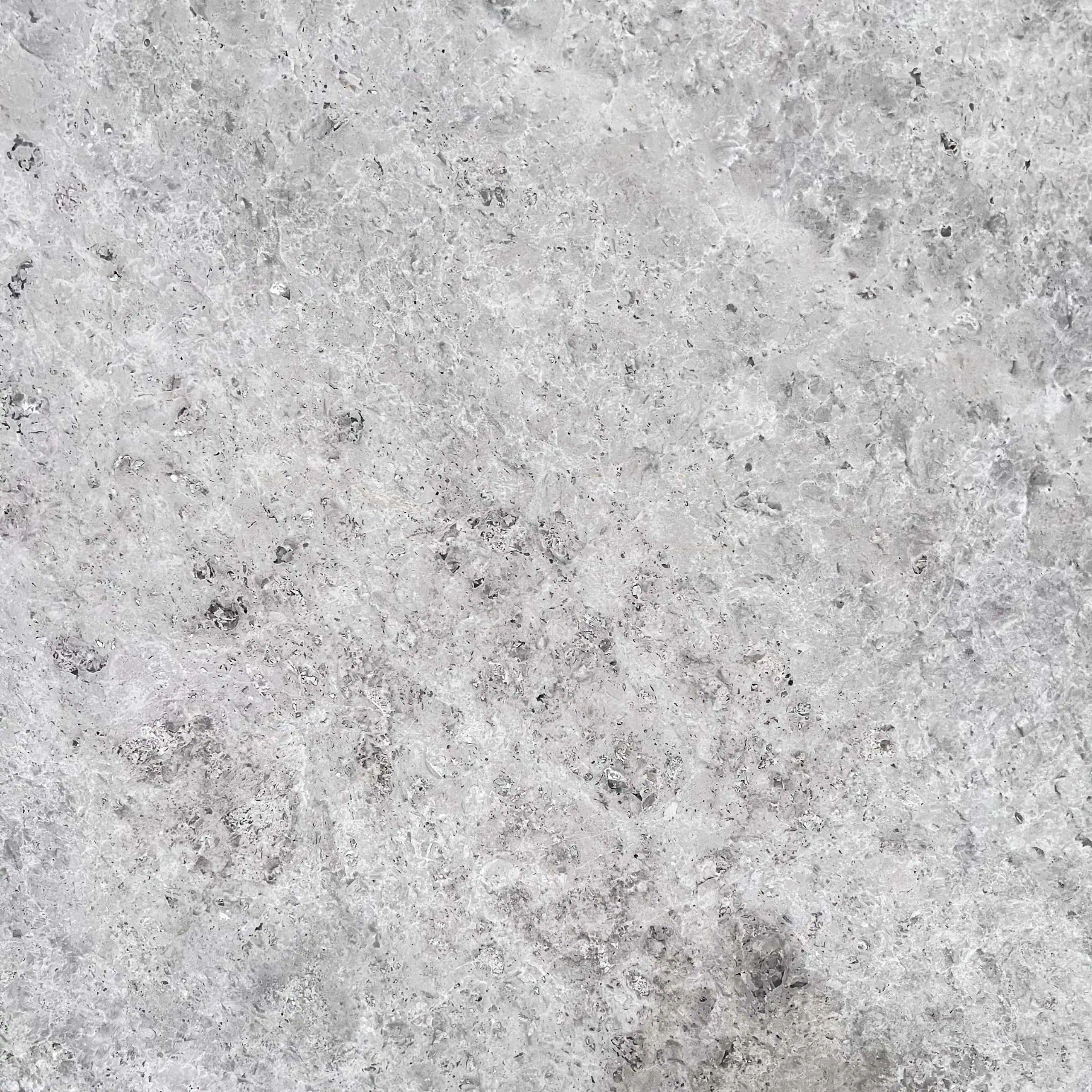 Venetian Grey Marble Swatch